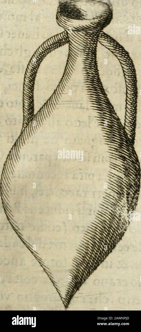 Nota, oltre, memorie del mvseo di Lodovico Moscardo ... Che qui vedi il rito, la quale ad iftanza di alcuna Donna  *della fan^iglia Titinia fu tagliata,che da quella poi fùconfacrata in ho-nore di Minerua . Quefta Famiglia fu diuifa in nobile, e plebea,comet^^. ìéo. Narra FuluioOrfino: E trai moli, che di quella da gì* Iftorici vengono9 nnouerati Jii quei Tuinio Mirurnefc, che accordo Plutarco, il quale fiìsferzato da Gaio Mano rcflituire la dote alla moglie,dclla qualelhaucuapriuata,e(renpudimimimica. Valerio MaiTuiicregilìra nsfatti meniora-biii quelTitinio, il qual mandato da CA/Tio Foto Stock