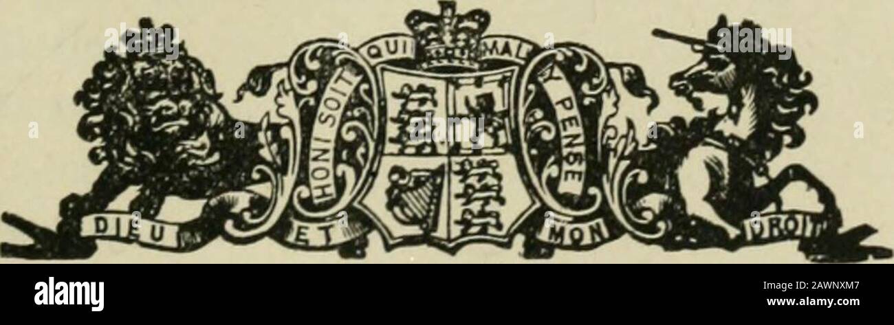 Ontario Sessional Papers, 1888, No.71-80 . CCdtTi-H 1 - 1 CT lo CO T?RH RHD (M ^53 CO •* oeo t^IH -,-.- o t- o X o CO - CO C5 t^l3 o o :0 «S X CO i-H 10 •rtir-l ^ CO 1-H -o o io -J RH S; T-H CO o ?5 :o X IM » o r-i C: O IM C^ t C&lt;) o RH C5 -If t-co sf co * . .2 » u 05 - =* È 0 ».- o a » ^? E' Vero? G 5 a V b, ki bo a 1 CE3 5 u ^ CS CS ^^? C8 D oC o (p - £T3 §^^5J . r X 3 3 „ • oa2 2  . ^ oC i a PQ ?^33 J C® i «i5 s ? C«11-^^02 (4 u ^ b ki i- CD ^ X * «• &gt;&gt;h c *3=2 2 a 5Dgo6 S fci o no 1^^^ It -^ 46 ei oi b (. FC&gt; i-i .53 « FC oo jj ;^ j3 •« »jtoi D a&gt; Ai r!^ pi-^p 2.2.2.2 i-s i to Foto Stock