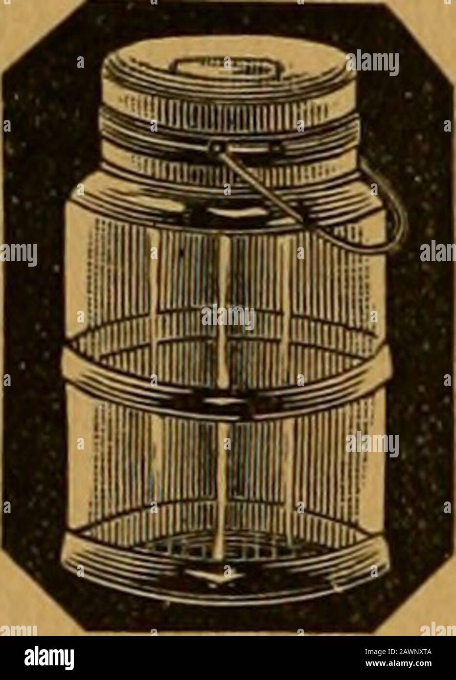 American Bee journal . CHIODI DI VETRO PER MIELE. Queste palle sono una migliore qualità di selce chiaro f;las8, con una palla e una tonnellata di metallo e copertura. Jl i |7*°|H Quando riempito di miele witn.The i^HVL |l,|, ^H aspetto attraente di ?-jfi^Cr^.^l queste unghie non possono essere uguali- -1 fltli-t!^ H di qualsiasi altro tipo di fid ~SK3m9^M. Possono essere usati? •- ? I ,1 ^H per uso domestico da ||i ; ^H consumatori, dopo il miele ^B^IT^ ^H ^ rimosso, o possono essere ^^?BnlL^r^H restituito a e ri-flled da apiarist. I prezzi sono i seguenti: A grassetto 1 libbra di miele, per dozzina, 91.00 2 libbre * SB.OO 3 Foto Stock