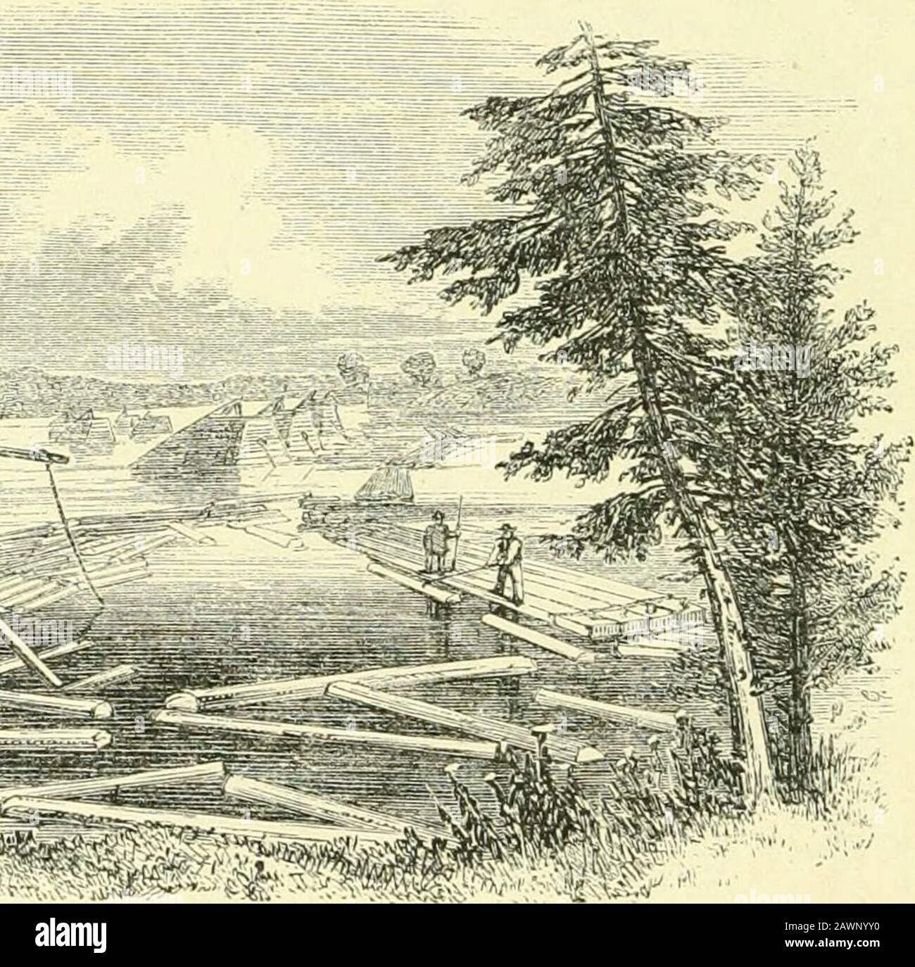 L'Hudson, dal deserto al mare . €;c^^^^^TT^^m THE gki;al boom. Boom, assortiti dai proprietari secondo i loro murks privati, e scendere a Glens Falls, Sandy Hill, o Fort Edward, per essere visto intoboards nei luoghi precedenti, o fatto in zattere a quest'ultimo, per un viaggio sul fiume. Piogge pesanti e nevi fondenti riempirono il fiume fino a un flusso eccessivo. Il grande boom ha fatto schiaffo, e mezzo milione di logswent che precipita lungo il torrente, sfidando ogni barriera. Il paese sotto era inondato dal fiume gonfio; e abbiamo visto migliaia di thelogs sparsi sulla valle del Hu Foto Stock