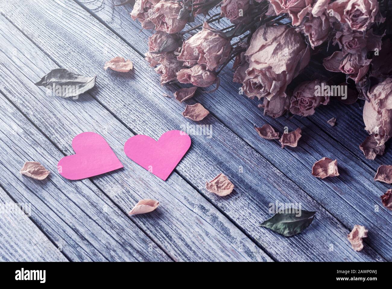 Due cuori di carta e rose secche su tavola di legno, ricordi di amore passato, giorno di San Valentino ancora vita Foto Stock