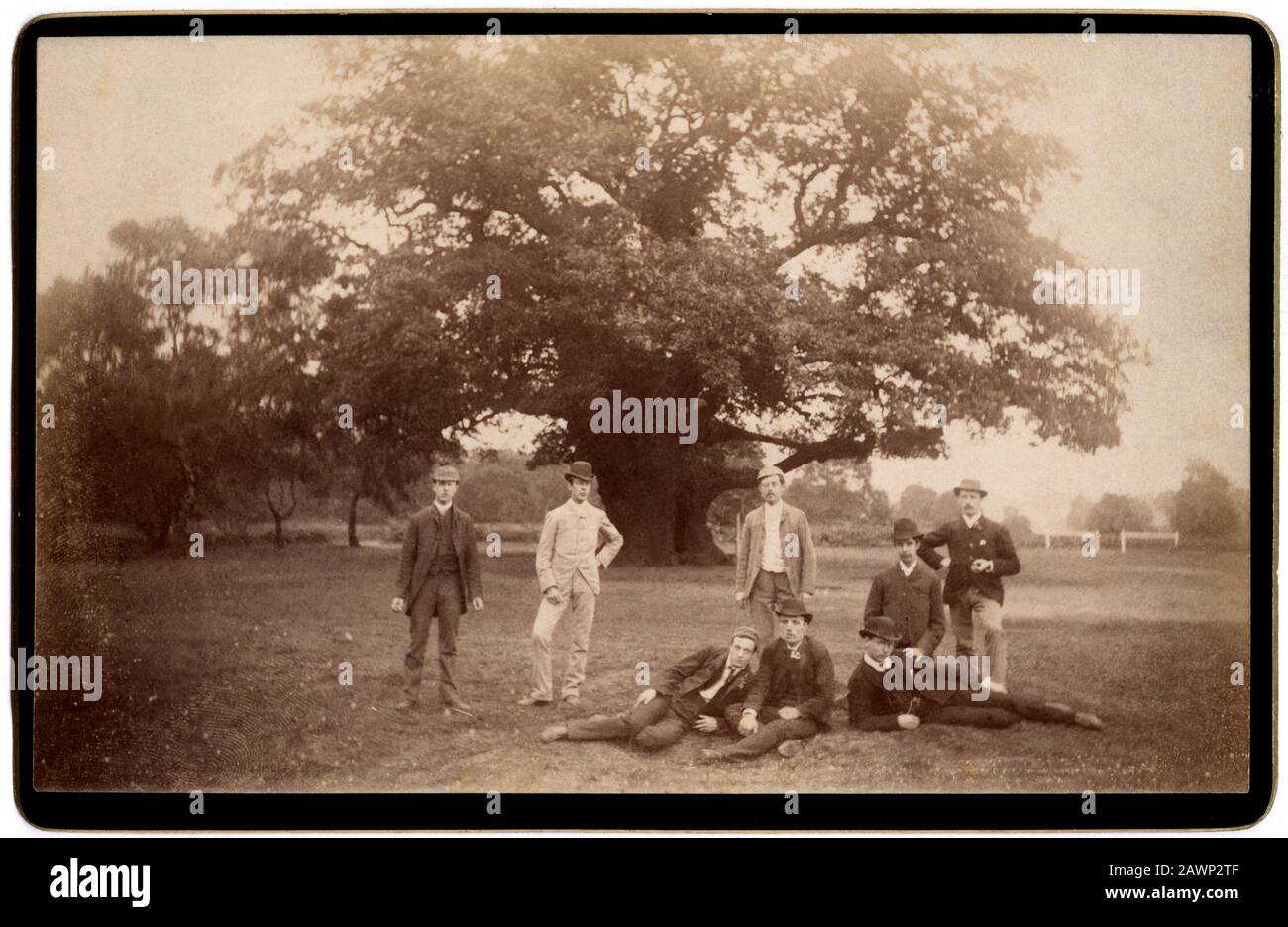 1895 ca , NOTTINGHAM , Nottinghamshire , GRAN BRETAGNA : Vista DI UN ALBERO ENORME famoso per essere i tre ROBIN HOOD nascosto in . La quercia Maggiore si trova a 1 Foto Stock