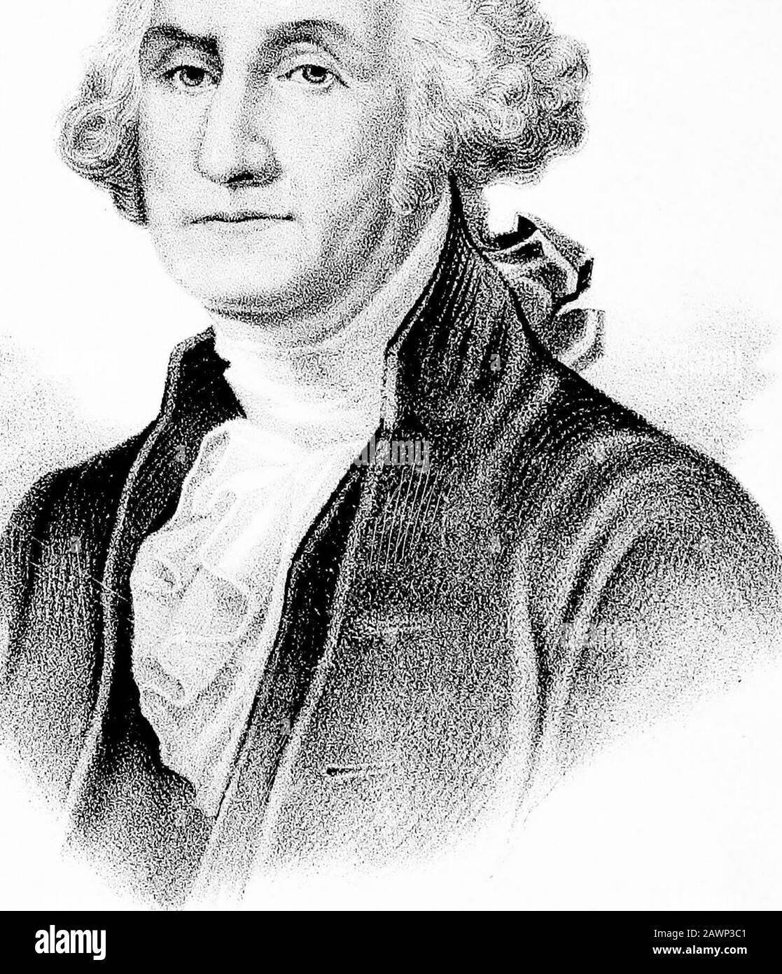 Documenti di orientamento e biografici delle contee di Montgomery e Bond, Illinois, contenenti disegni biografici di cittadini di spicco e rappresentativi, insieme a biografie e ritratti di tutti i presidenti degli Stati Uniti . St... Foto Stock