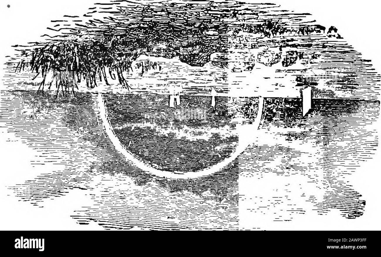 Documenti di orientamento e biografici delle contee di Montgomery e Bond, Illinois, contenenti disegni biografici di cittadini di spicco e rappresentativi, insieme a biografie e ritratti di tutti i presidenti degli Stati Uniti . St.. Foto Stock