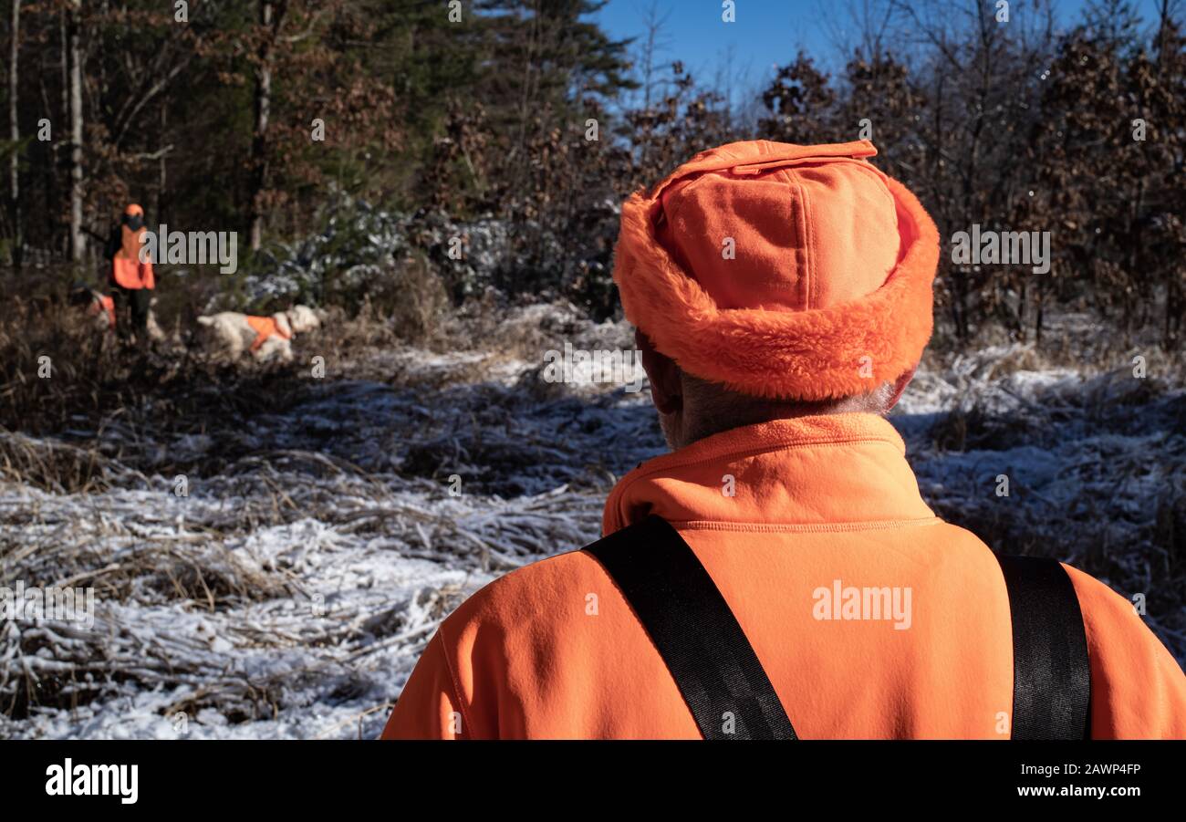 Mapleville Rhode Island Dicembre 20th, 2019: Un Hunter Watches Il Suo Partner Cammina Attraverso Il Bosco Con Due Cani Foto Stock