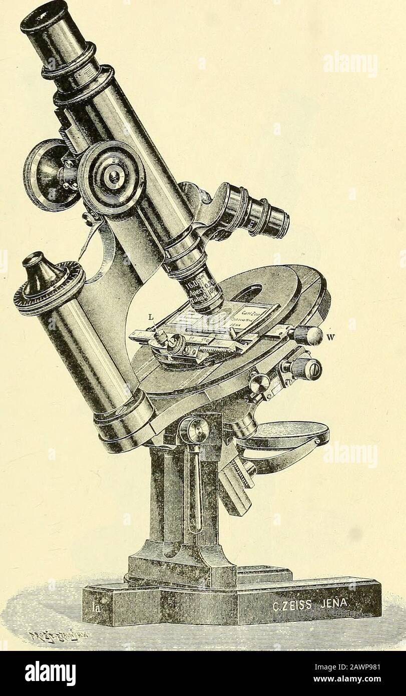 Il microscopio; un'introduzione ai metodi microscopici e all'istologia. Fig. 85. Watson & Sons, Edinburgh Students Microscope {Stand G). Thisis un buon rappresentante della base del treppiede, modelli inglesi di al-giorno. È in gen-eral come gli stand Powell e Lealand che hanno mantenuto la loro posizione con i più importanti microscopisti inglesi negli ultimi 4.0 anni. [Vedi Carpenter-Dallinger, P. 172. ) i microscopi con base a treppiede sono ora realizzati sul continente. Si richiama l'attenzione sulla sottostadio del condensatore. Possiede delle viti centrali in modo che qualsiasi apparecchio utilizzi Foto Stock