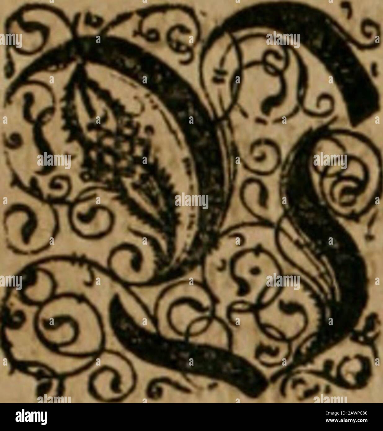 America, das ist, Erfindung vnd Offenbahrung der Newen Welt : deroselbigen Völcker, Gestalt, Sitten, Gebräuch, Policey vnd Gottesdienst . IH gelegen/ aur in Der vorts:gen Dieife nur fec^ö5ßoc^en/^u öcm feinD Wenac^olgenöe ©c^iffarfen/ael/aen 9nDnewe n^t£n^Dituf/n§n nte5rttid n^Denfen  . ^ <;^ tttttJkP^. ? .imo-iLTUftJfuc % t ^ i^,^i|- i .yEAEMEEOC s? ^. Foto Stock