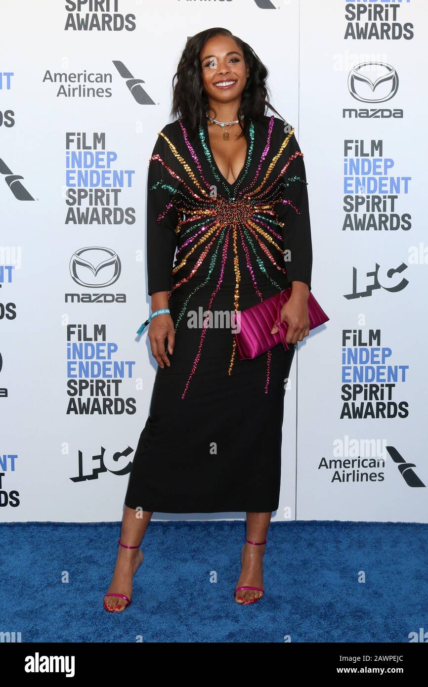 8 febbraio 2020, Santa Monica, CA, USA: Los ANGELES - 8 FEBBRAIO: Kimberly Steward al 2020 Film Independent Spirit Awards at the Beach l'8 febbraio 2020 a Santa Monica, CA (Credit Image: © Kay Blake/ZUMA Wire) Foto Stock