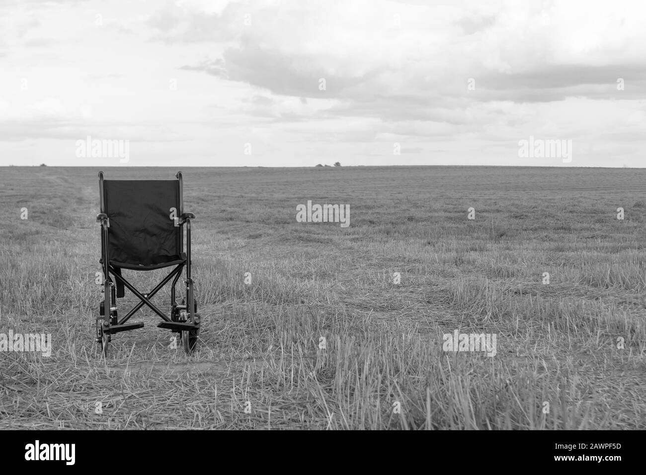 Sedia a rotelle vuota in un ampio prato. Trasporto disabili in natura. Apparecchiatura medica per persona non valida. Linea d'orizzonte che divide il campo e il cielo Foto Stock