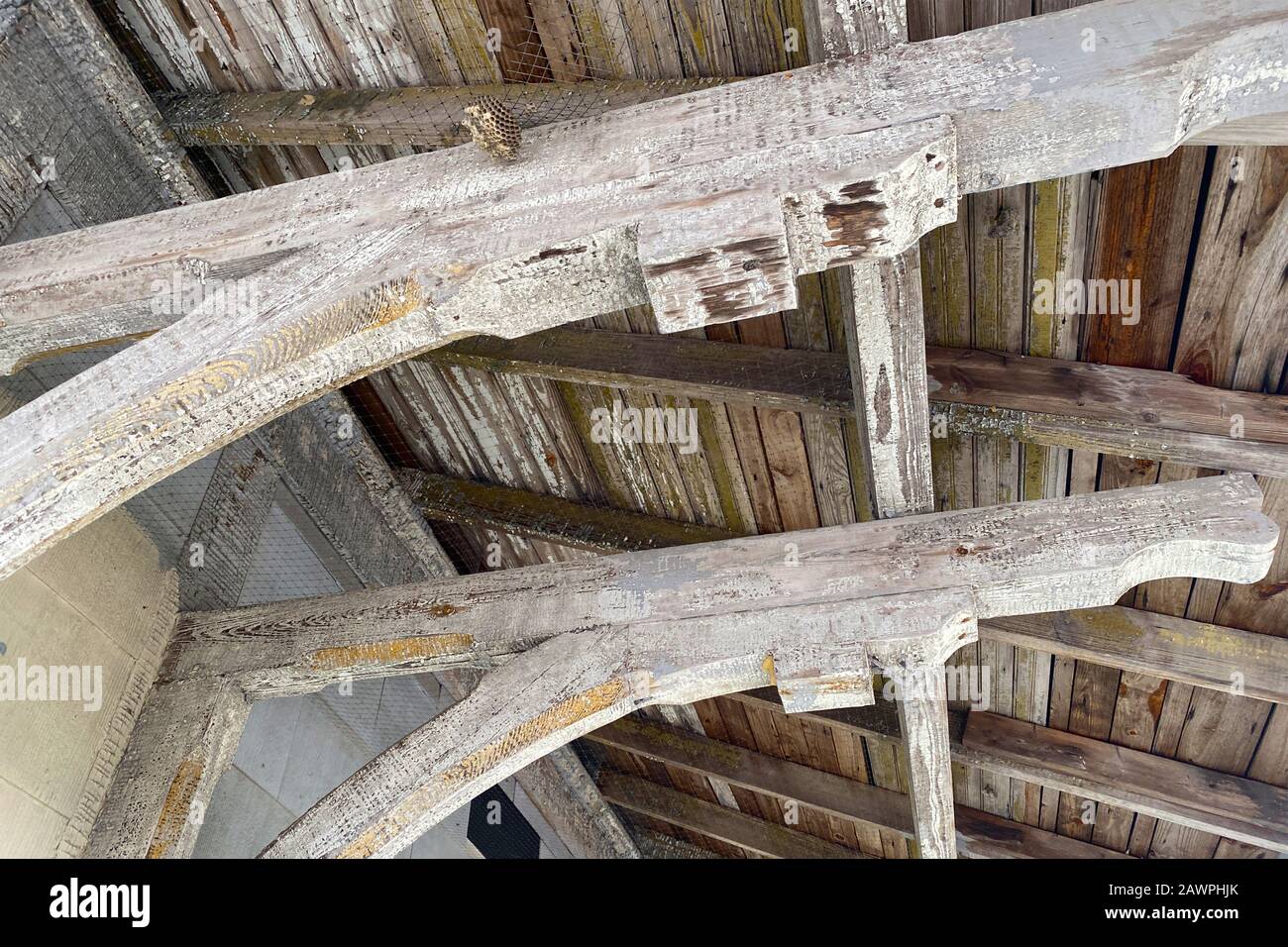 fienile rafters vintage con contrafforte Foto Stock