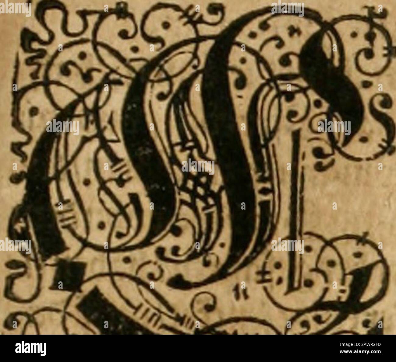 America, das ist, Erfindung vnd Offenbahrung der Newen Welt : deroselbigen Völcker, Gestalt, Sitten, Gebräuch, Policey vnd Gottesdienst . m ^ür^j^ i©^^MP. Foto Stock