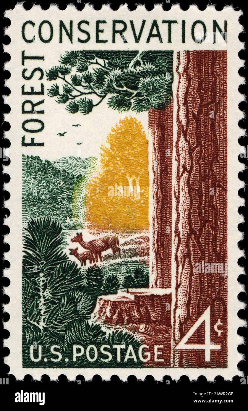 Forest Conservation 4c 1958 emissione del francobollo statunitense. Foto Stock