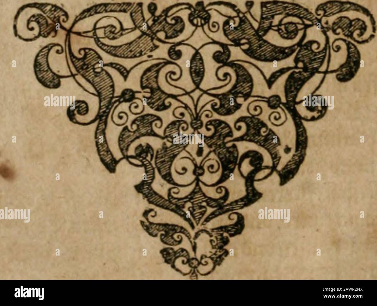 America, das ist, Erfindung vnd Offenbahrung der Newen Welt : deroselbigen Völcker, Gestalt, Sitten, Gebräuch, Policey vnd Gottesdienst . lnc^ ^c^mtDen Ks^iixUn er ficniöclj auff Der ^ofl in f(c^02Irtgen jwovnD ficbni?qannfémnf/memenuinDernßcljiff frcrciuftge5ogen@/dnf«/dnfennfém 5tW/df/dnféf/df X6/ üon nfémim eüee. Seoiüa/df/dnfémim  /  /df/tnféf/df/df/tnféf/tnf/tnf/tnf/tnf/tnf/tnf/tnf  . €rffj k ;) Foto Stock