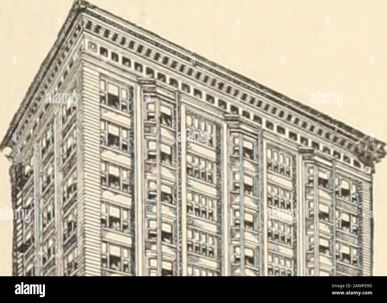 La cronaca commerciale e finanziaria . Depository IL TUO ACCOUNT sarà gestito nel modo più attento e intelligente di intel. Strutture di raccolta eccellente LA BANCA NAZIONALE DELLA CITTÀ DI CHICAGO DAVID R. FORG-AN, President.ALFRED L. BAKER, Vice-Pres. AGENTI H. E. OTTE, CASSIERE.L. H. GRIMME, Asst. Cassa.R. V. LANSING, responsabile del reparto Bond. F. A. CRANDALL. Asst. Cassa.W. D. DICKEY, ASST. Cassiere. RISORSE totali OLTRE 12.000.000 di dollari di fondi FIDUCIARI e RISPARMI DI WESTERN BANCA DI CHICAGO Capitale Un Milione di dollari Traspatti un GeneralBanking e TrustCompany BUSINESS OFFICERS JOSEPH E. OTIS, presidente WALTER H. W. Foto Stock