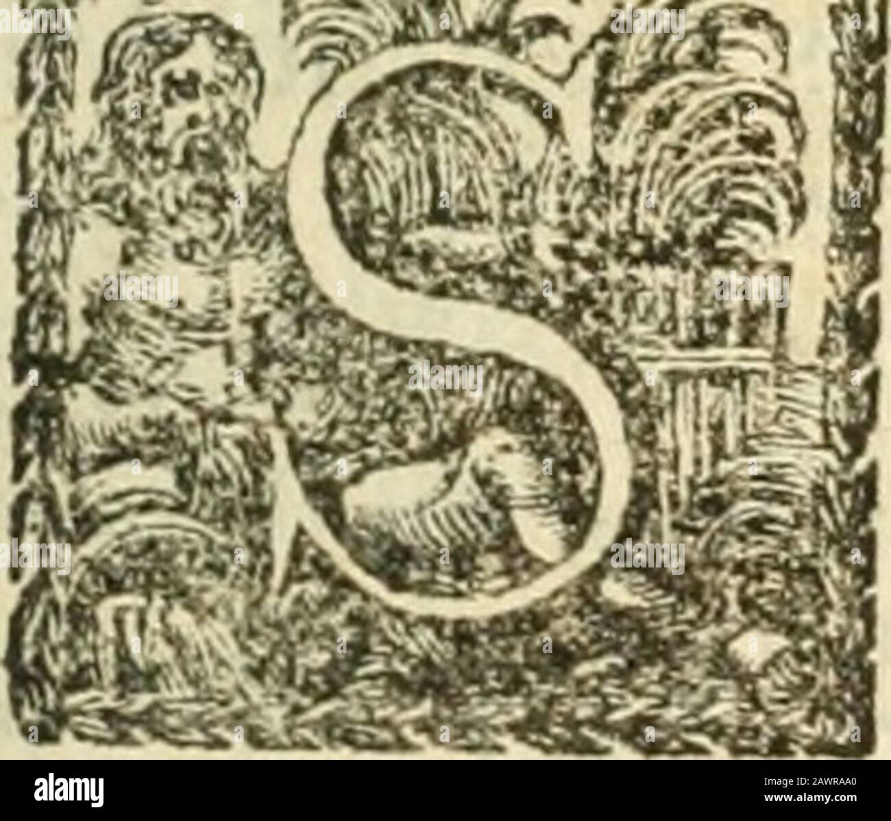 Un commento sul profeta Ezechiele . C H A P. SU EZECHIELE. 287 ?5^fe;LLP^P^p SB;/: S& **••*?*? -*^v ?*•?* * * 4- ? V* *••*%- •*•* ? ? ? ? N.• * * ?** CHAR XXXV. L'Argomento. 71&* Trophet rinnova le sue ex sentenze di sentenze degli Edomiti, Cfr. Cap.xxv. 12. tf.r dijfl/? Tunifhme?it per la loro Iujult-ing sulle Calamità degli ebrei, ChipterXXXV.. Ver. 2. HO INCONTRATO di nuovo la Tua Faccia piedi Monte Ver. 2. SV/VO Vedere cap. Vi. 2.Mount Seir è la famiglia con Idumea. Cfr. T)eut.ii 5.Ver. 4. I con 7/ / n.) £ N.; Ver. 4.C/V/Vj Wafte, &c.] Vedere Ver. 9. Ver. 5. Becaufe tu hai avuto una VER perpetua. £ tu Foto Stock