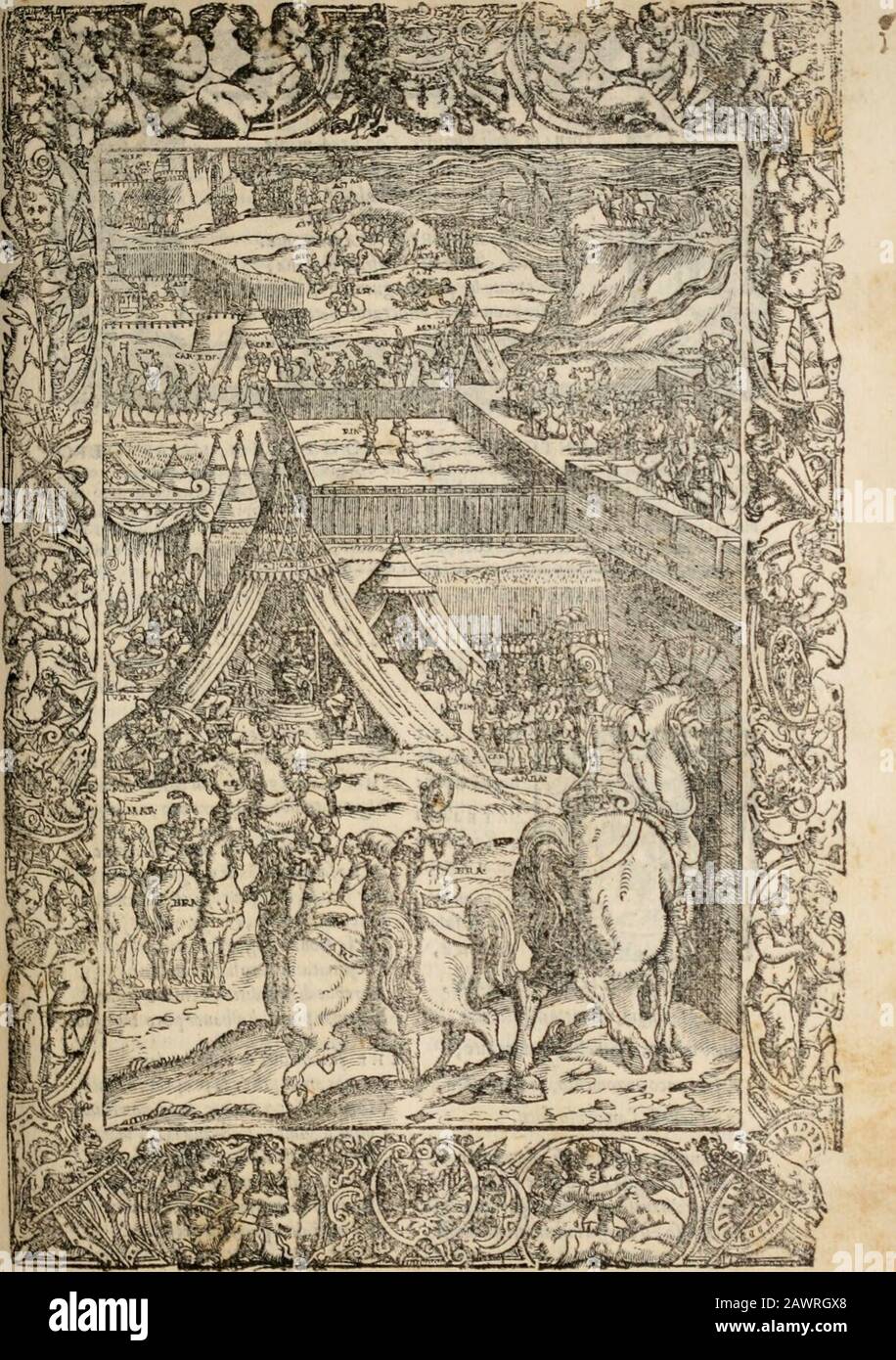 Orlando furioso . le Donne i»fì jUffe,diccndo,che fi difcopr t ciò,che le Donne hanno tra lour dimmon.U,cioè,chefi m.viifeTli,& fi fc»fraogni cofra brutta,cbe f.tc.i.ìni alcune Donne riien perfette dellaltre. Etcosì uiene a ri&gt;7ianer u.inaU{Oi:fegiteu&gt;a de i uolgari,. HE dicono,che fé non ni fojfe afa immanda tra le Donne,non fi pctria difcoprt^re.V crcioihe noi non neghi.tmo (hefi.i 7 r a tutte le Donne,qtli.he Donna imondi, Ma ben neghia-mo con ogni ficure:^i,chl i ti tutte le Donne ftacoft dimmondo.Et a chi fiale proprtet.i ddp.irlart,non.iccaderia f.ir dubbio inqueiìo.Verche fé farem Foto Stock