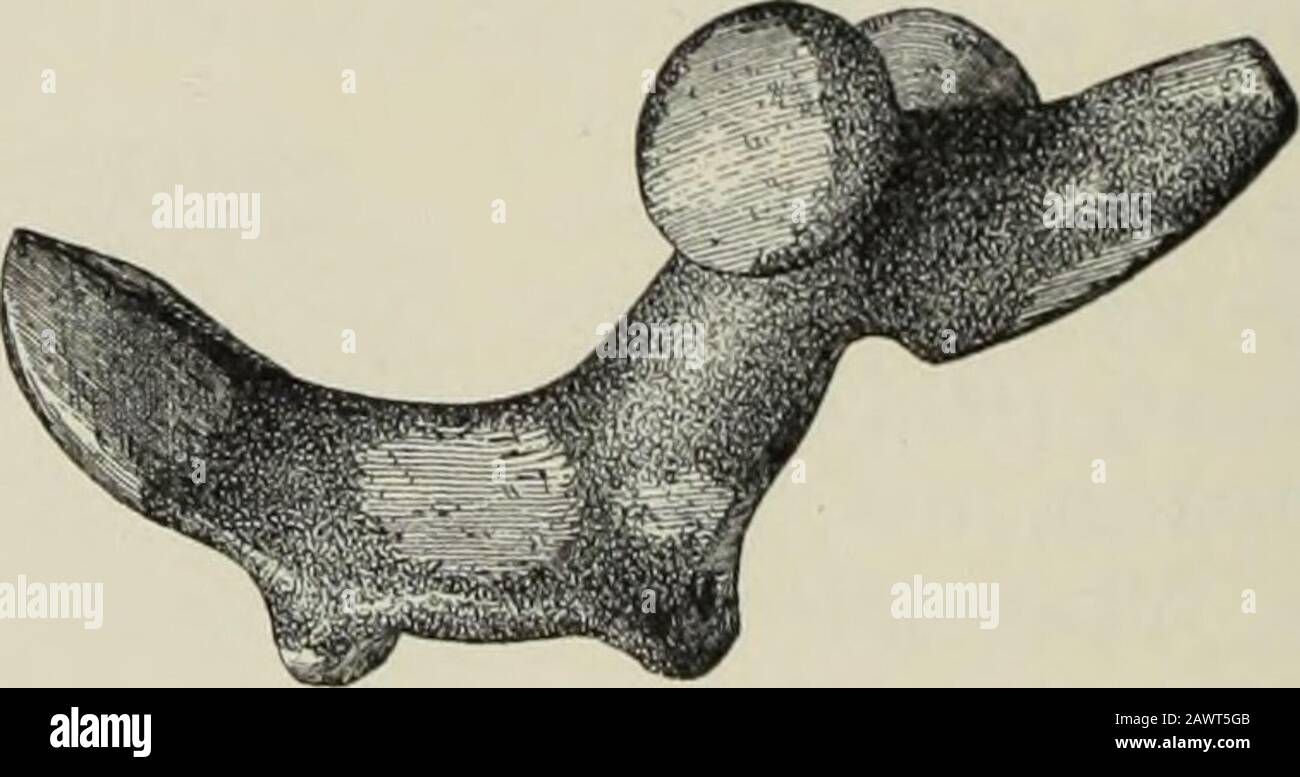 Rapporto annuale dell'Ufficio di Etnologia al segretario dell'Istituto Smithsonian .. . 126 ARTE DELLA PIETRA. [ETH.ann.13 nella figura 152, è di granito, della contea di Vernon, Wisconsin, e il thecollection abbraccia un altro esemplare, di saudstone, di Kanawhavalley, Virginia Occidentale. Secondo Gillman, le pietre della forma dell'uccello sono state indossate sulla testa dalle donne indiane, ma soltanto dopo il matrimonio.1 Abbott* cita Col.Charles Whittlesey per l'effetto che sono state indossate dal womento indiano denotano la gravidanza, E da William Peun che quando scaws wereready per sposarsi indossavano qualcosa sulla loro testa per indicare il Foto Stock