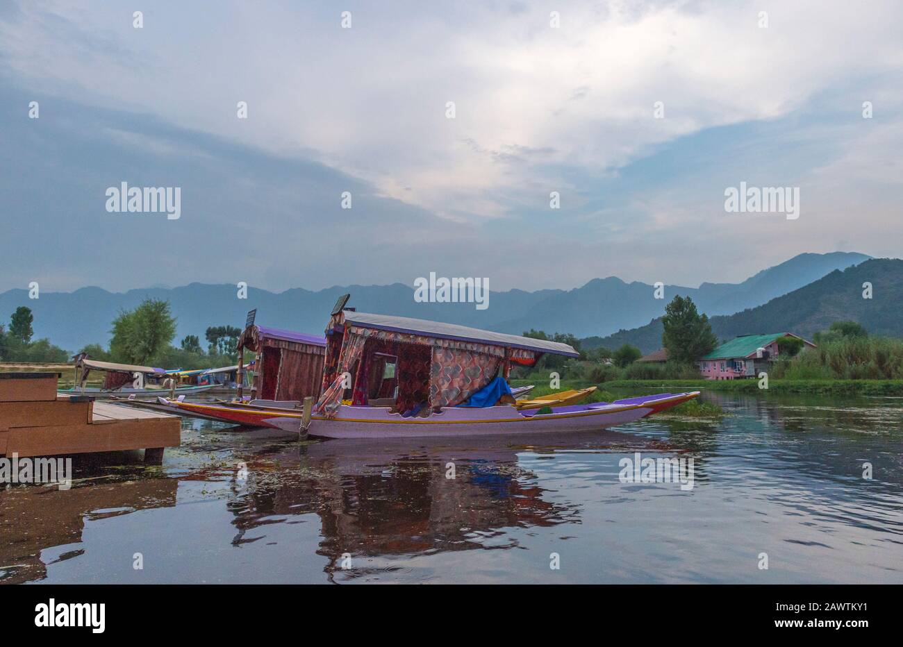 Shikaras colorfull, piccole barche intagliate in legno, dal lago, Srinagar, Kashmir, India Foto Stock
