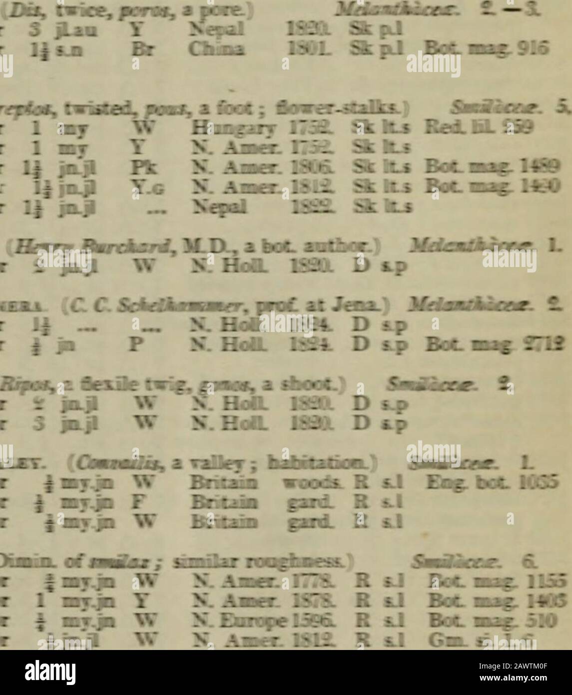 Hortus britannicus di Loudon : un catalogo di tutte le piante indigene, coltivate o introdotte in BritainPart IThe Linnaean arrangiamento : parte IIThe Jussieuean arrangiamento . UPOGOXRM fWtf. DoeoocM. CJLJ^. MB-BomRd LiAlorJL MR. Mentre la o MBB. COXTAIXA^RI A X. Iat o m Tauxt.»aa^I. Ifay i A o imj^ SrMn redjfTyrrrrrrrf ^ A o StrepiaM doable ^ A o MSA SMILACrXA Jttf. SaoLMoau. ASSSwIiinili Detf. Obdlaie ^ A o ^mj^ W X. Awe I7i& R SJ ^ i Dt^. MrtfanB ^ A o 1 ?j.pi T X. aaee 1S & B &!  X.EnapeUKL R SJ BoCaB«.510 X. Awe MS. R SJ Gb. A. L6 IjLjl W X. Awe ISIS. R &lt;J Ttak.ai.1SL* i j Foto Stock