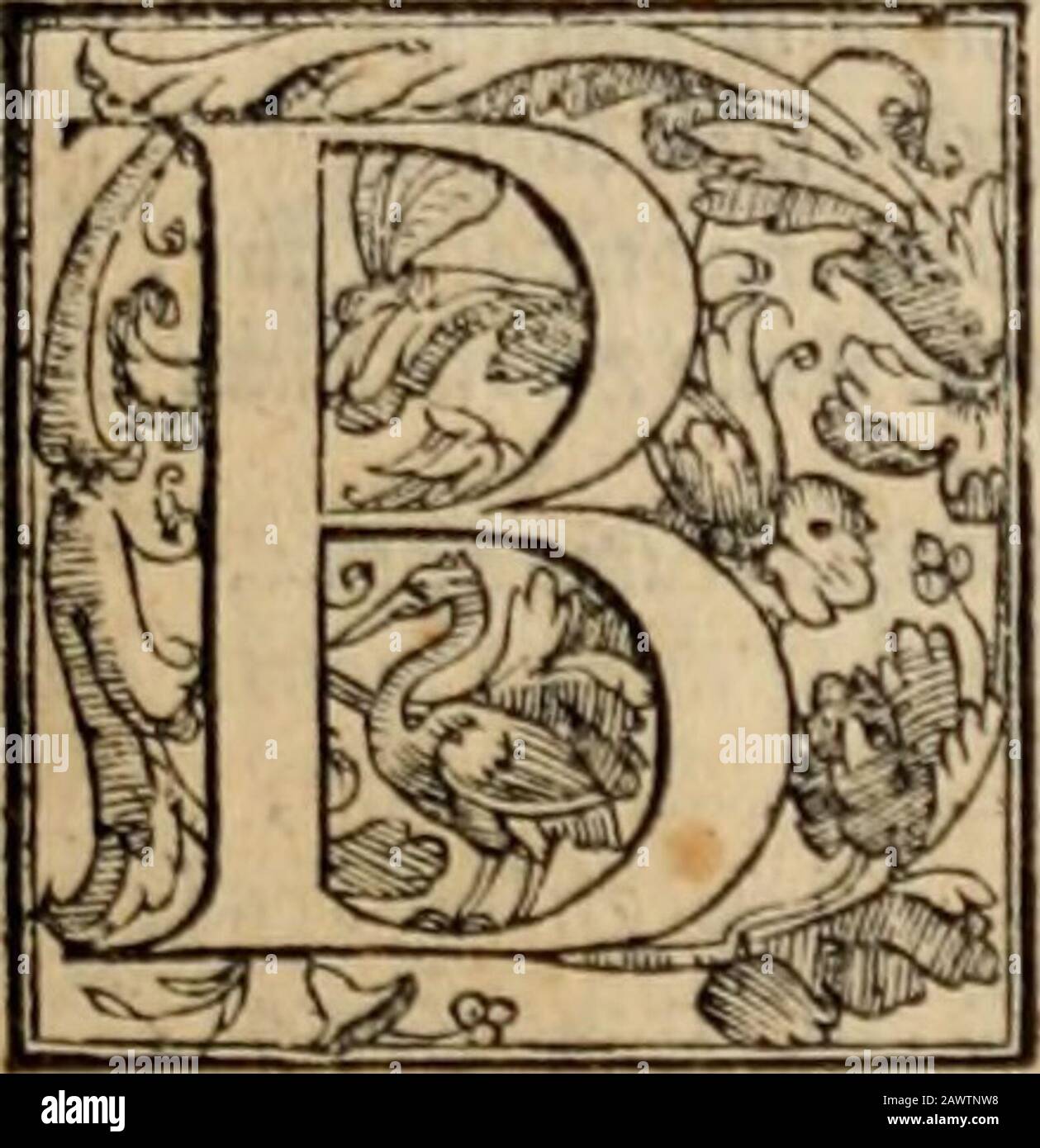 Orlando furioso . {uggicr graudLx, iow^Atl.te ha tanta erba accolta.Et ci con noui inganni imi la fejgra.fa la mo^a ^gramante de la guerra. LINFIDELTA DODORICO VERSO ZERBINO, ci AMMONI-fcea non HJarfi quafi di noi fttfli centra le iufinjhcdeirinfiJo Amore. Et per i&gt;radamantc,che con tutti gli aiuti nti di Mclifla (ì lafcia tirar da Atlante nel fiio Palagio, lì compren-de,che troppo duramente fi elVcguifconoi li buoni oucuniltOj&intcnio amore li utamore orientc infigufcuifattori configutri. C A 7^T 0 R E F^Z 0 D E C I M 0. £ N F V R o auenturojìicaualieri, cherano A quelladii, che nei Foto Stock