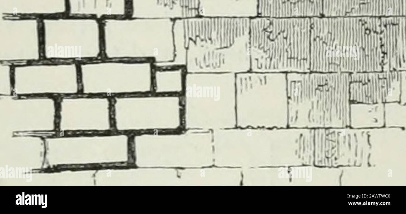 Un tentativo di discriminare gli stili di architettura in Inghilterra, dalla conquista alla riformazione : con uno schizzo degli ordini greci e romani . incipitur.-Iita Gundulphi ,tiy).Whar-toii, p. 280, vol. ii Registrum reato, p. 32 ; TextusEoffensis, c. 201. Et thesaurnm sanctorum Ee-liquidarum ejus (S. Paulini) in novamEcclesiam transferri, et in loco decen-ter ad hoc x&gt;ra;parato repoui fait. - Ibid. Et fseminarum Coenobium inpossessioni sua quam MelLingus dicuntvir dei aedificare cm-avit.-Ibidem. 287. Sed eos per pluies infastidisce pro-prima cura regire cma%at. - Ibid. Volontà. Malmesb. Ge Foto Stock