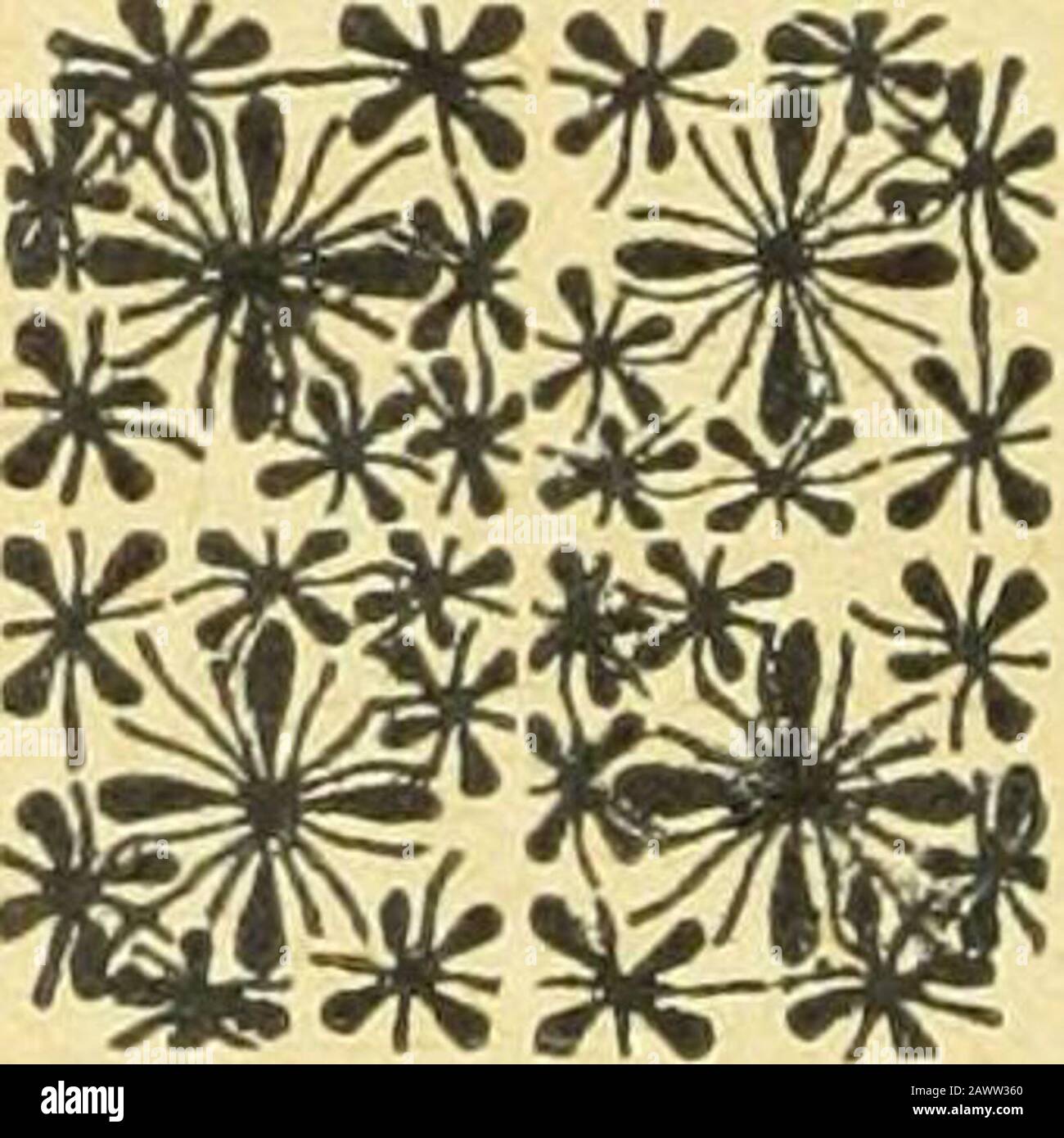 Revisione mensile della Divisione Dairy and Food : rilasciato ogni mese . r Campioni, 290. Pura, 281 Oleomargarina Colorata, 7 Oleomargarina, 2 Totale, .... 290 Campioni Di Latte, 14. Puro, 14 Totale, 14 Campioni Di Oleomargarina, 2. Non Colorati, 2 Totali, 2 Campioni Di Alimenti Puri, 83. In conformità alla legge, 80 Misbranded, 1 Conservato e colorato, 2 totale, 83 Campioni di aceto, 35. Adulterato, 6 Misbranded, 2 pure, 27 Total, 35 45 AZIONI E AZIONI PENALI. Oleomargarine, 9. Terminato, 9 Totale, 9 Casi Di Cibo Puro, 3. Terminato, 3 Totale, 3 Casse Di Aceto, 8. TOTALE 8 LICENZE TERMINATE, RILASCIATE DAL 1° GENNAIO AL 15 MAGGIO 1 Foto Stock