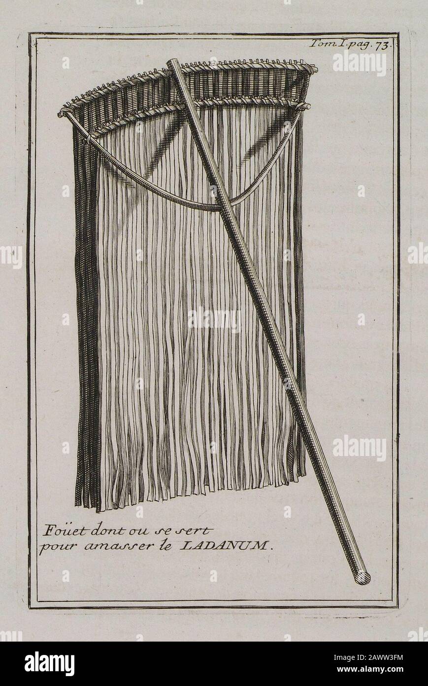 Fouet dont on se sert pour amasser le Ladanum - Tournefort Joseph Pitton De - 1717. Foto Stock