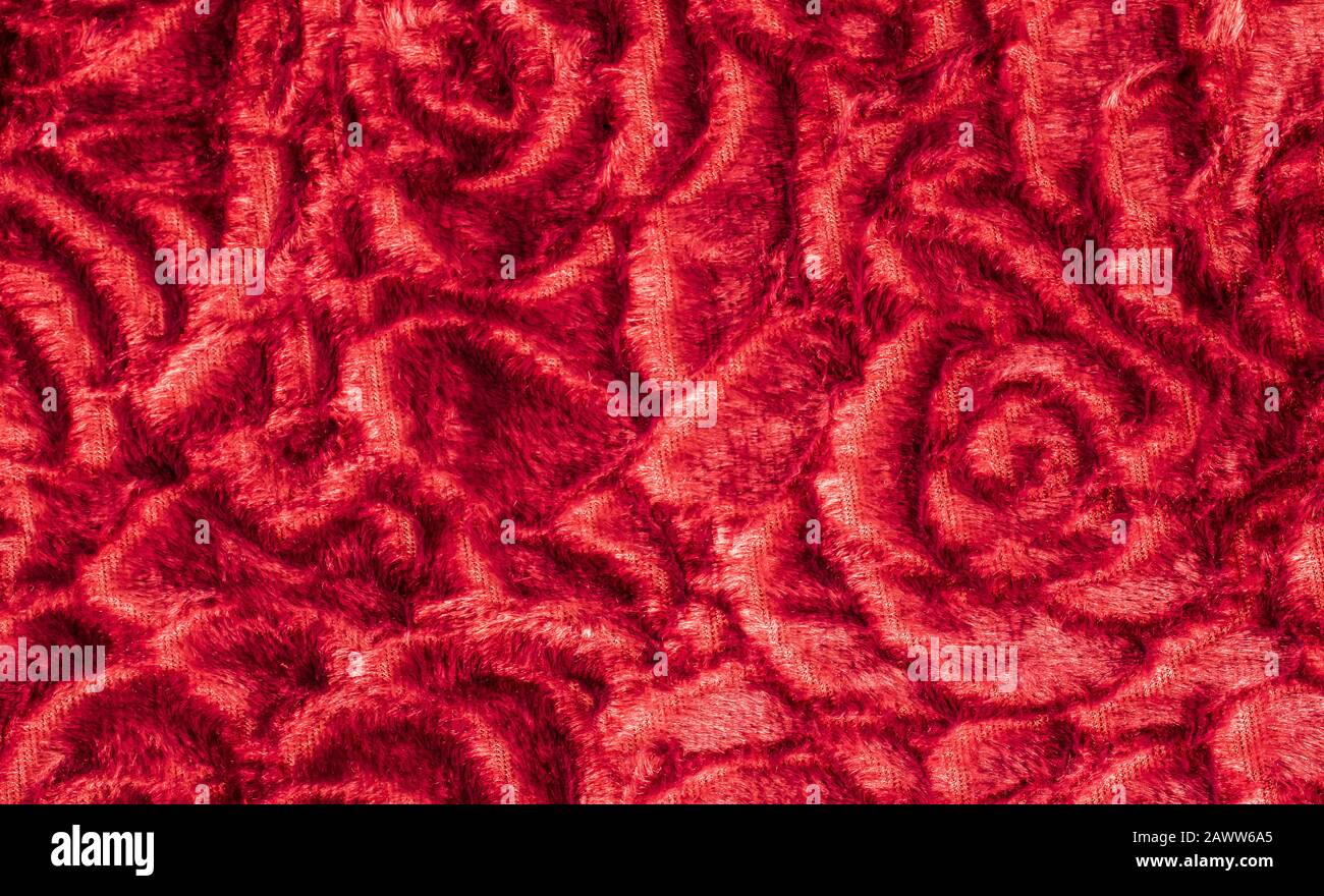 Trama rossa maglia disegno rose astratte. Sfondo giorno Valentines. Foto Stock