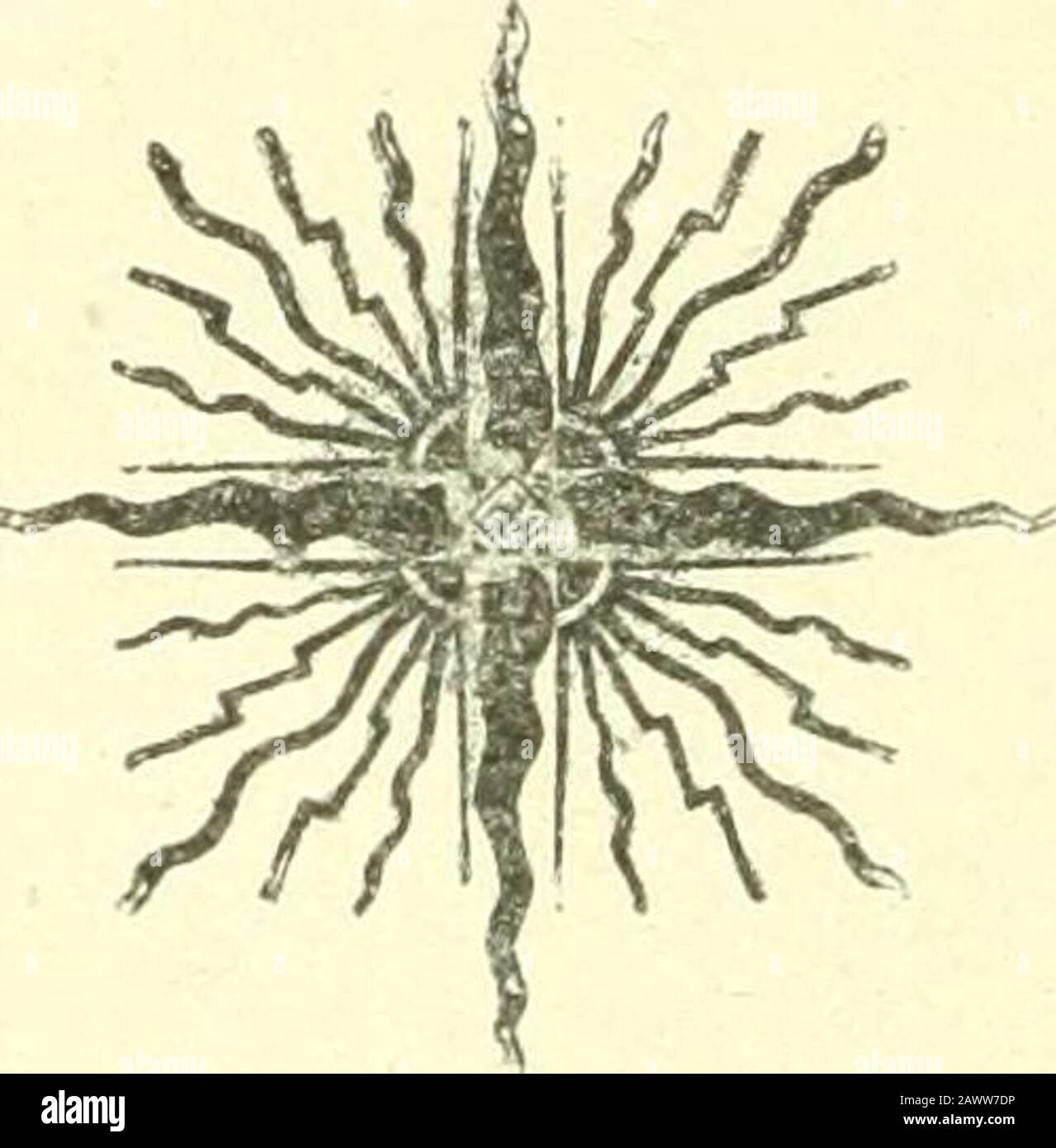 Revisione mensile della Divisione Dairy and Food : rilasciato ogni mese . r Campioni, 116. Oleomargarina colorata, 16 Oleomargarina, senza licenza, 2 pure, 98 Total, 116 Campioni di lard, 2. Puro, 2 Totale, 2 Campioni Di Latte, 89. Basso contenuto di grassi, 1 puro, S3 Scremato, 5 totale, 80 Campioni di alimenti puri, 15. Adulterato, 1 Conforme alla legge, 8 Misbranded, ^.. 6 Totale, 15 Campioni di aceto, 2, Adulterato, 2 totale, 2 85 TUTE E AZIONI PENALI. Oleomargarine, 18. Terminato, 18 Totale, È Pure Food Cases, 15. Chiuso, 15 Totale, 15 Casse Di Aceto, 2. 2 LICENZE, TOTALE 2, TERMINATE, RILASCIATE DAL 1° GENNAIO AL 15 MARZO 1908. O Foto Stock