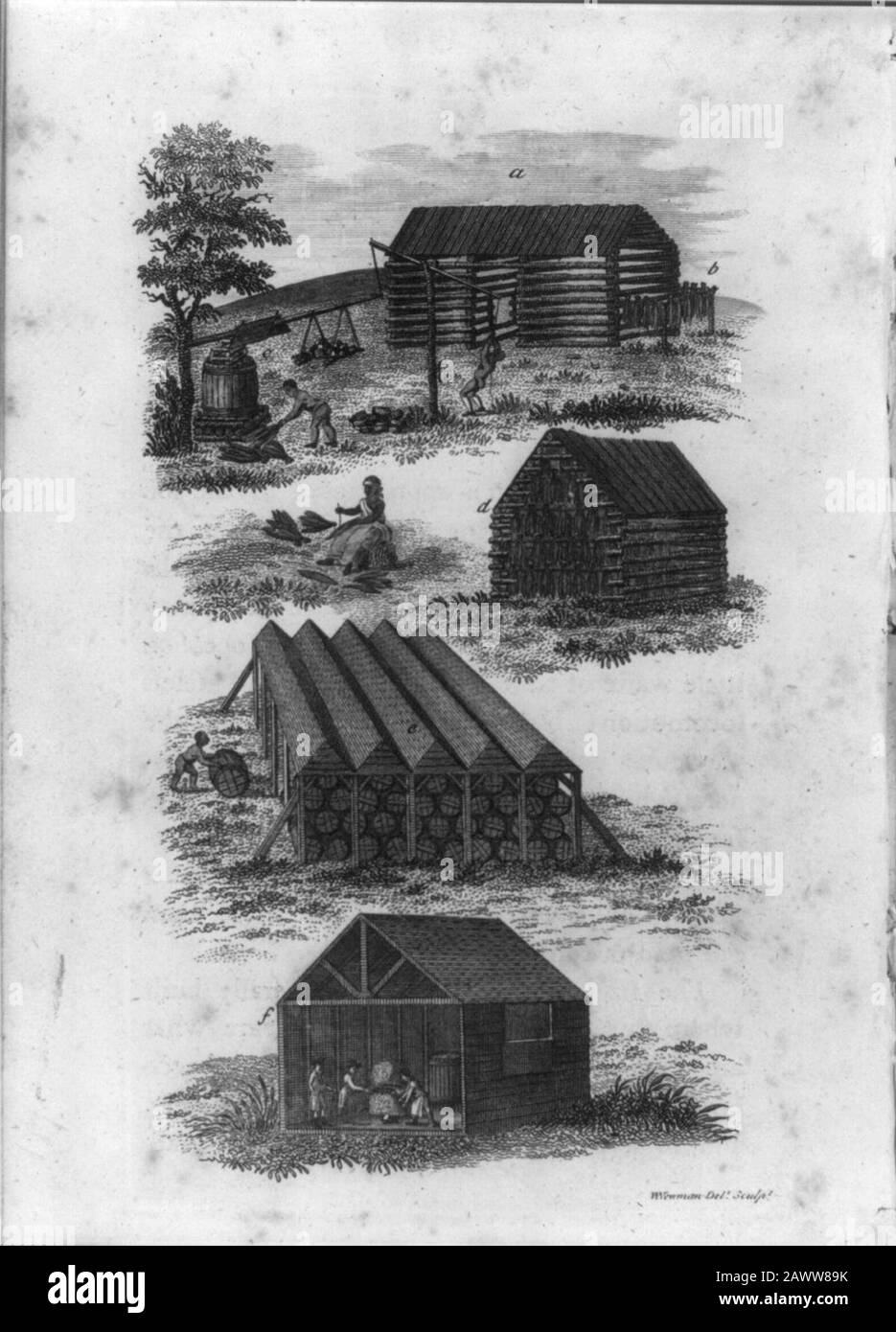 Quattro scene che mostrano la cura, l'accoppiamento e la conservazione del tabacco, Tidewater, Virginia, pre-1800 Foto Stock