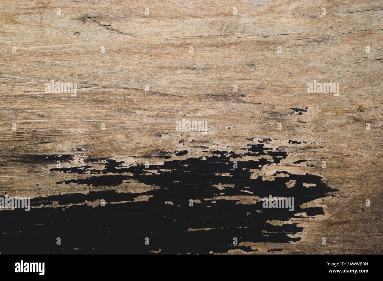 Trama di legno graffiata con vernice nera. Fondo di legno ruvido Foto Stock