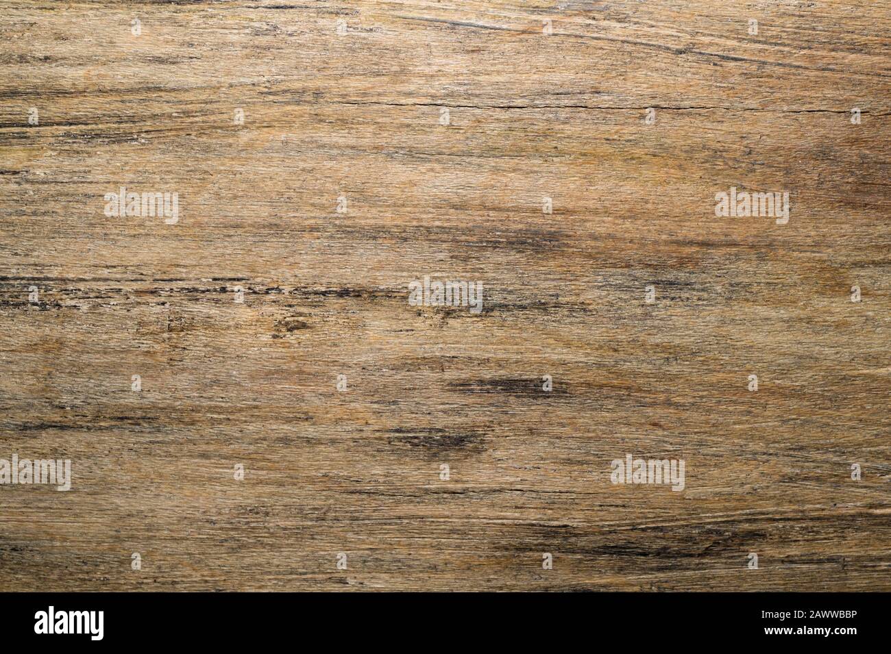 Trama legno graffiata. Fondo legno ruvido Foto Stock