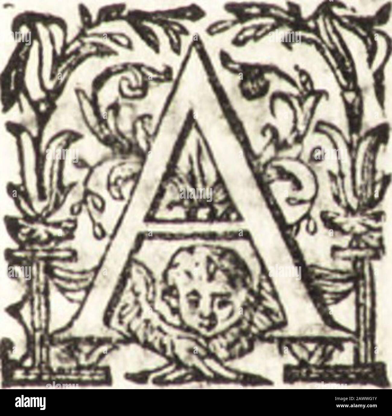 Notizie de' professori del malato da Cimabue in qua : per le quali si dimostra come, e per chi le Bell' arti di pittura, scultura, architettura laser la rozzezza delle maniere greca, e gottica, si siano in quetti secoli ridotte all' antica loro perfezione . la : E perquella di San Domenico di Cremona ne color) unaltra, della quale famosa Francefco Scannelli da Forlì nel fuo Microcofmo della Pit-tura . 11 Vafari afferma, che egli dipirneffe pura nella fua patria la faccia-ta di GALEAZZO CAMPI. 231 ta di dietro di San Francefco. Altre pitture condufie queftartefice a efTacittà, le qua Foto Stock