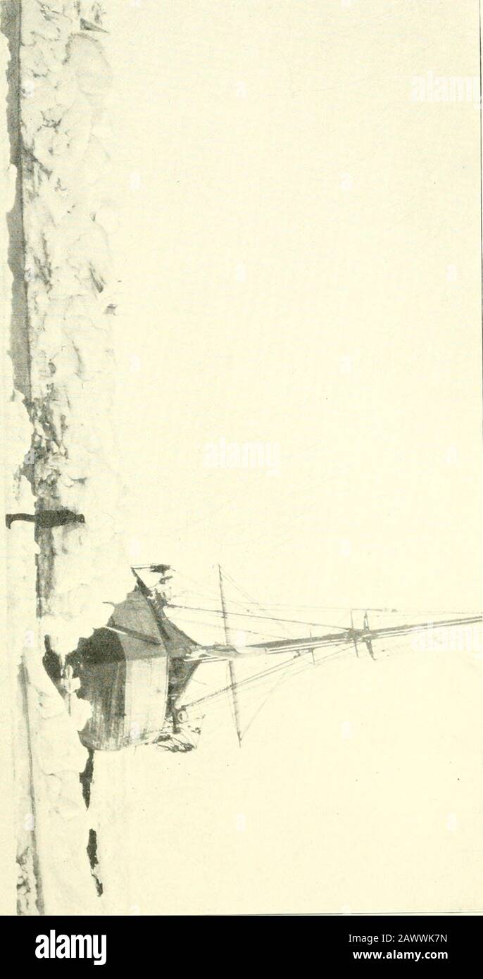 Più a nord; essendo il record di un viaggio di esplorazione della nave 'Fram' 1893-96, E di un viaggio di quindici mesi in slitta da DrNansen e LieutJohansen . g fuori dalla barca gli uccelli che avevo sparato, quando improvvisamente anarwhal apparve nel canale vicino al nostro solito approdo, dove l'arpione con la linea allegata laici pronto per l'uso. Ho preso rapidamente l'arpione, ma la bobina ofline era troppo breve, e quando ho avuto questo diritto la balena vedovedbelow l'acqua, come ero pronto a arpoon lui. Un sigillo occasionale grande [PJioca barbatd) è apparso anche a thistore; li abbiamo cacciati som Foto Stock