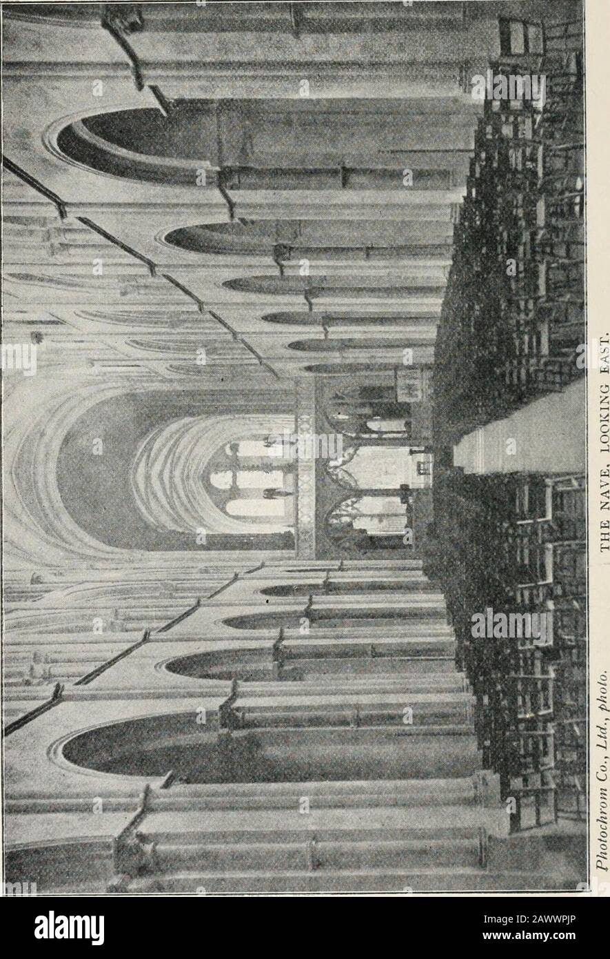 La chiesa cattedrale di Chichester; una breve storia e descrizione del suo tessuto con un resoconto della diocesi e vedere . h della navata wereremoved; E così da quella data Chichester è stata l'unica cattedrale in Inghilterra che ha quello che può essere chiamato fivenaves, ed è più largo di qualsiasi altro, ad eccezione di York, fino a novantuno piedi attraverso. Lo spazio centrale, o navata vera e propria, è diviso in otto baie per tutta la sua lunghezza. Le linee verticali che contrassegnano queste divisioni sono i tripli alberi di volta collegati. Teysorreggere le costole trasversali della volta in pietra e dal loro marmo Purbeck scolpito capi Foto Stock