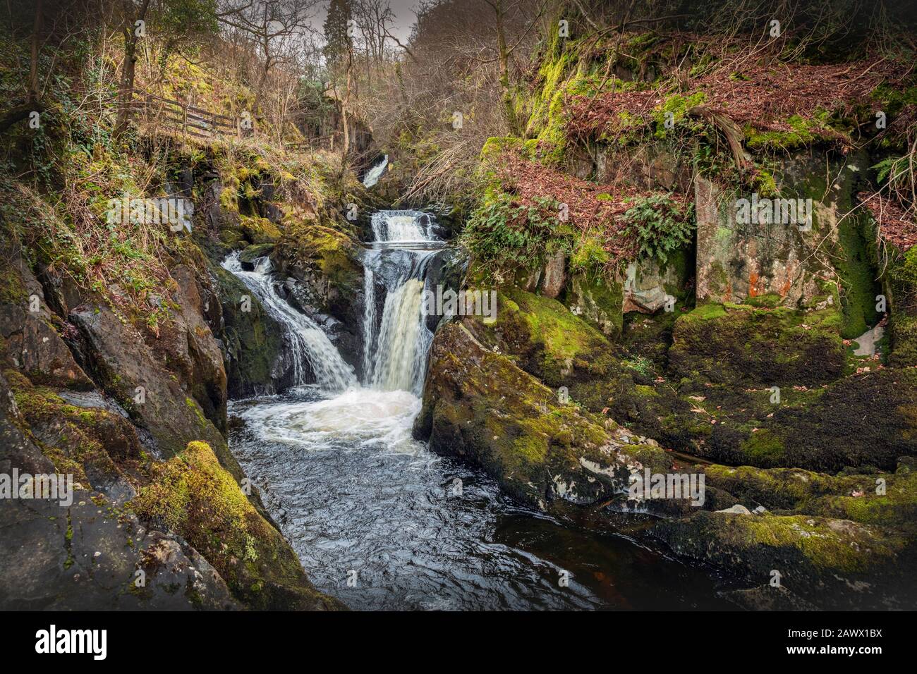 Pecca fa parte del percorso delle cascate ingleton Yorkshire Dales Foto Stock