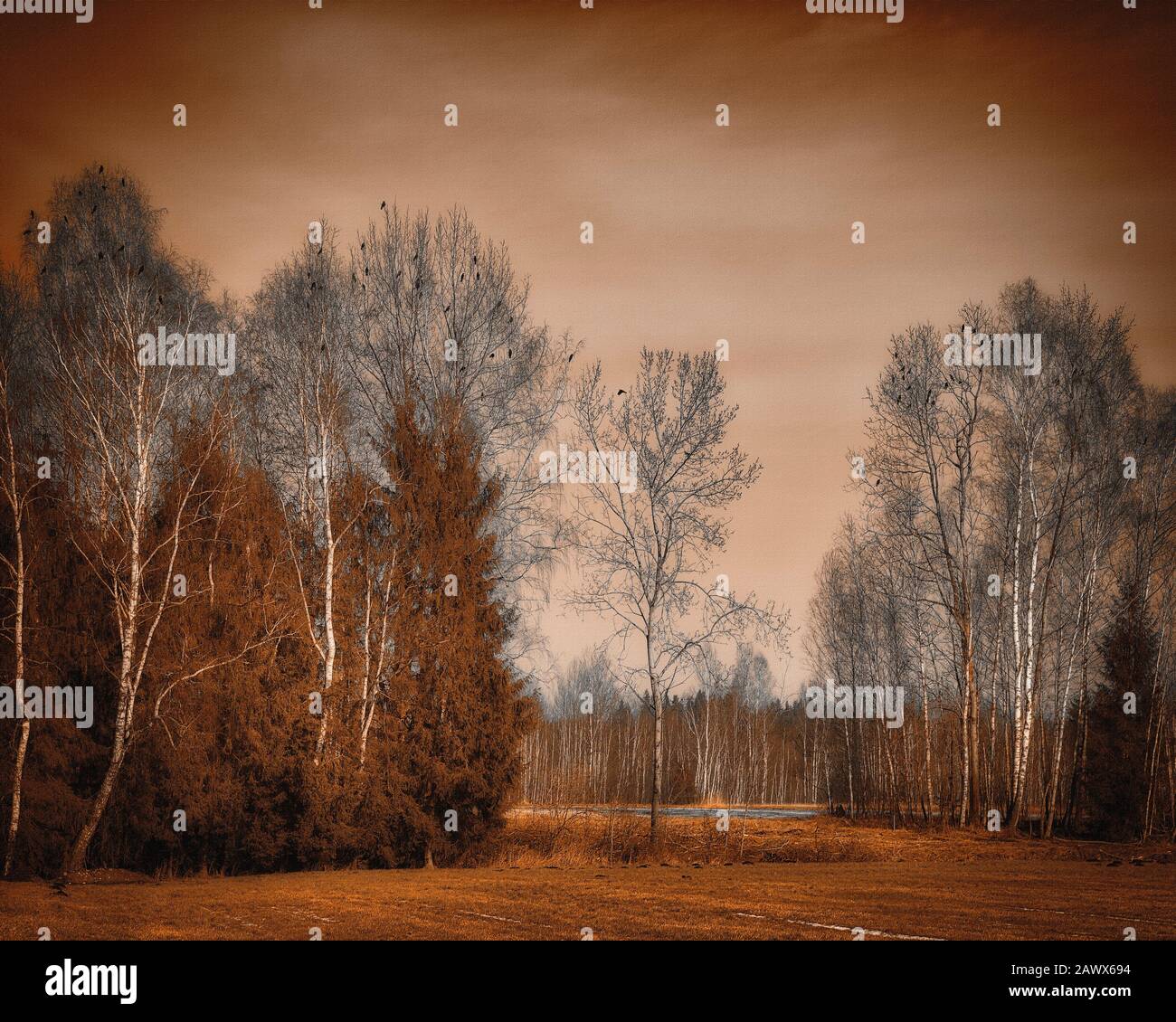 De - BAVARIA: Paesaggio di Moor a Bichl (immagine HDR) Foto Stock