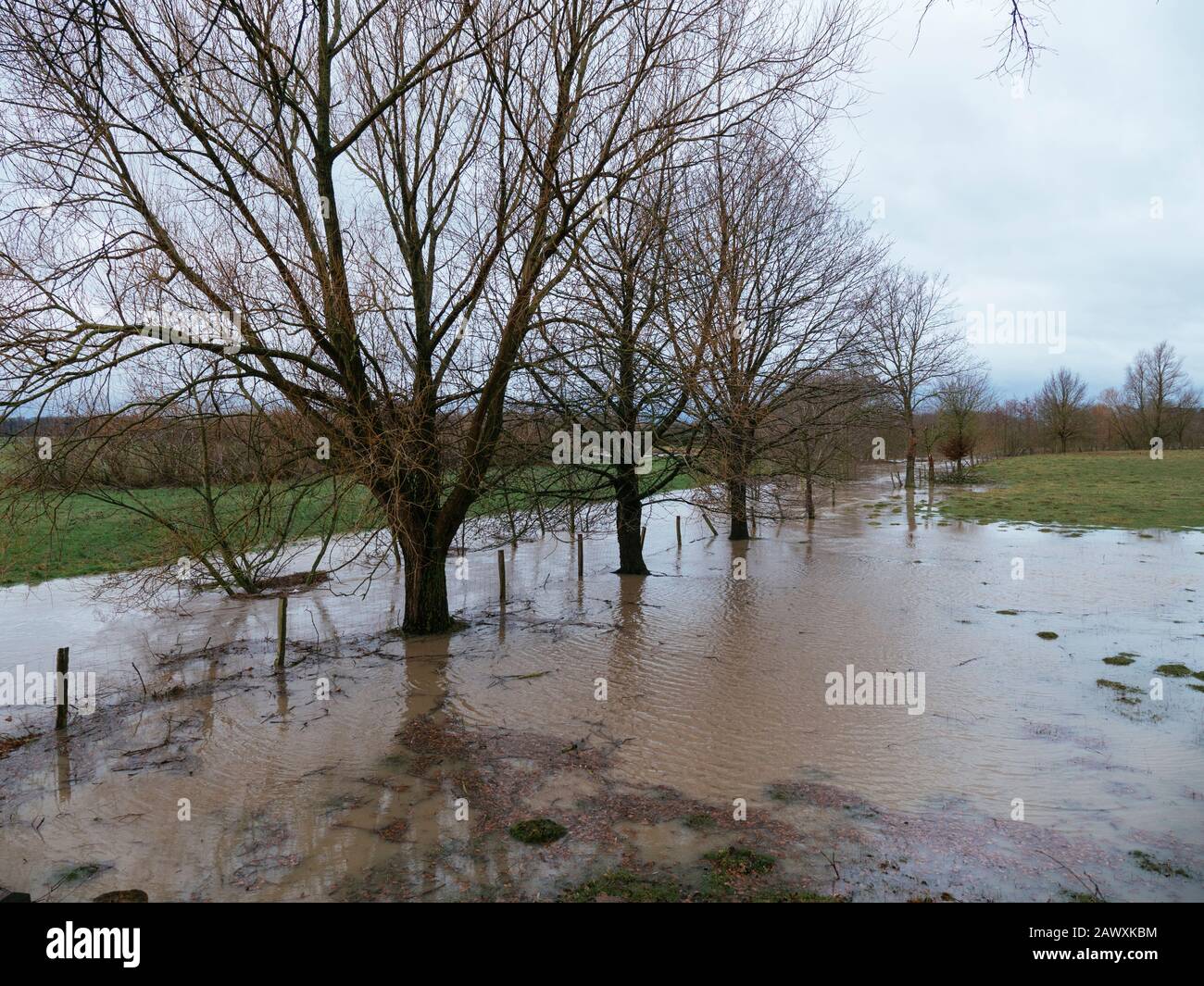 Letto fluviale allagato dopo forti piogge dalla tempesta Ciara/Sandy a  Petershagen (Germania Foto stock - Alamy