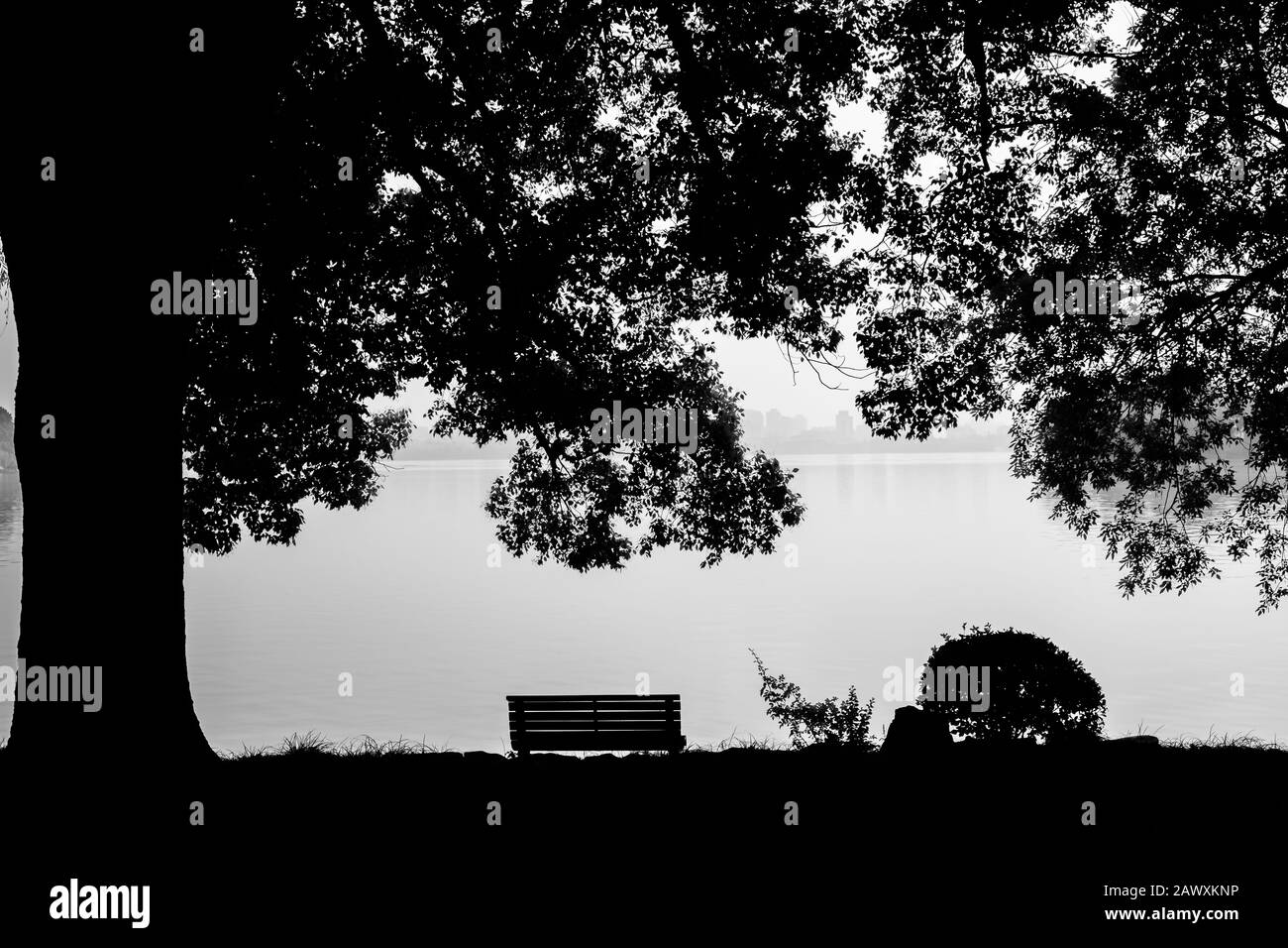 Blavk e vista bianca dell'ambiente verde con albero, panca e parco al lago Xihu o il lago ovest al mattino, dove è un lago d'acqua dolce in H. Foto Stock