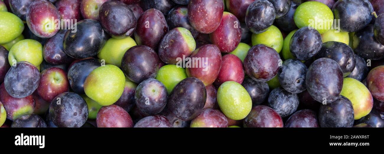 Sfondo panoramico di olive fresche verdi e nere Foto Stock