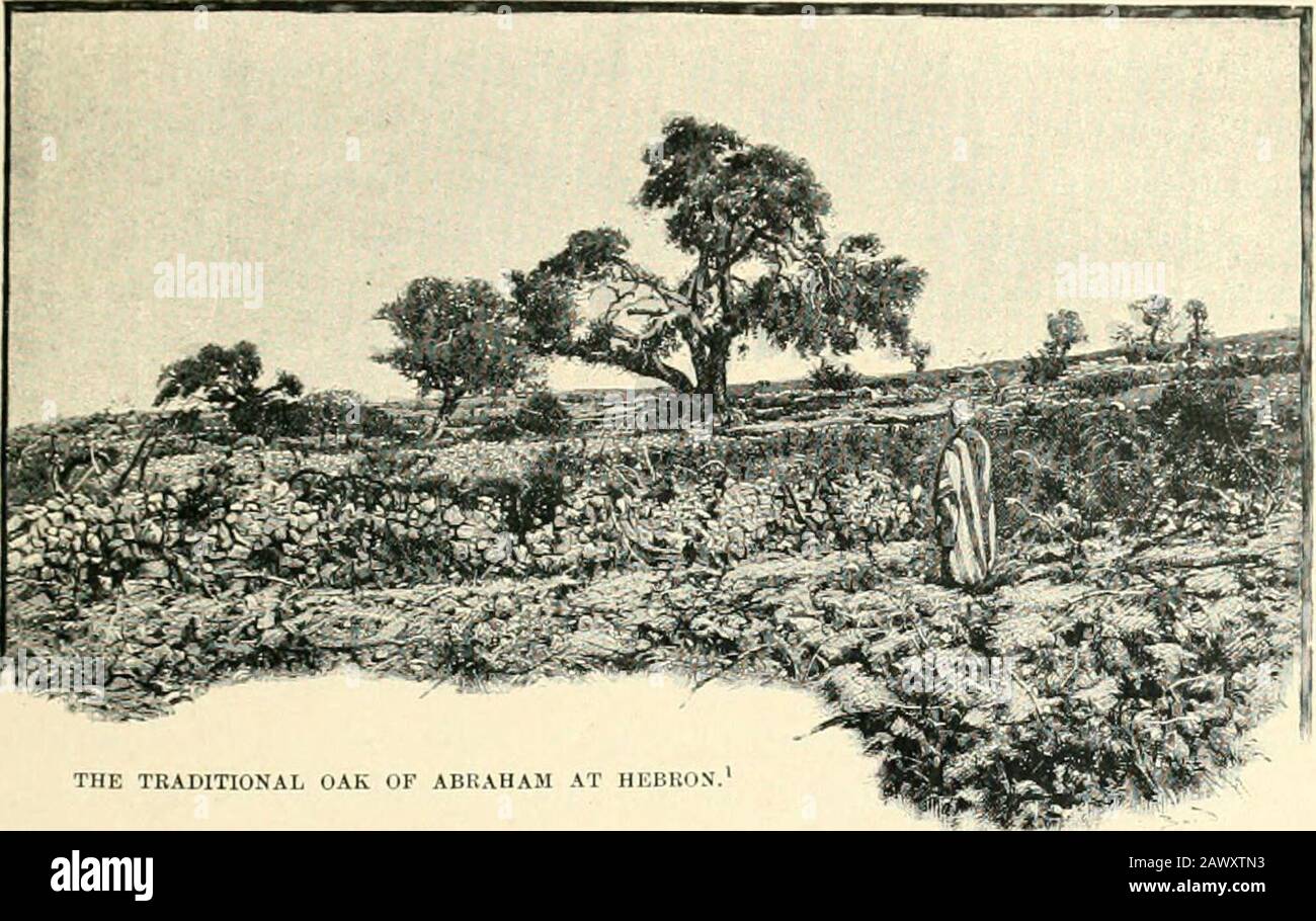 La lotta delle nazioni - Egitto, Siria e Assiria . Assijriologie, vol. Vi. Pp. 245-263) e il carattere dei suoi primi re hanno determinato Dire ce di pronunciare Melclizedek per essere un per-sonage storico (TAE Critica Più Alta e i monumenti, pp. 174-178, e la Palestina Patriarcale, p. 71, et seq.). Geif. XIII. 1-13. Il lotto è stato a volte collegato di ritardo con la gente chiamata sul Rotanu degli egrianmonumenti, o Lotanu, che avremo occasione accennare frequentemente più ulteriormente su: Heis supposto essere il loro eroe eponimo (Ren., Histoire du Peuple Hebreu, vol. I. pp. 12,115). Foto Stock