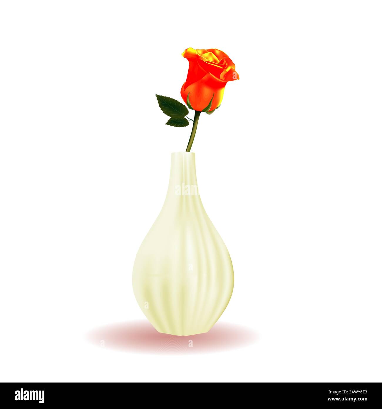 Ramo di una rosa in vaso isolato su sfondo bianco. Fiore. Arancione. Illustrazione Vettoriale