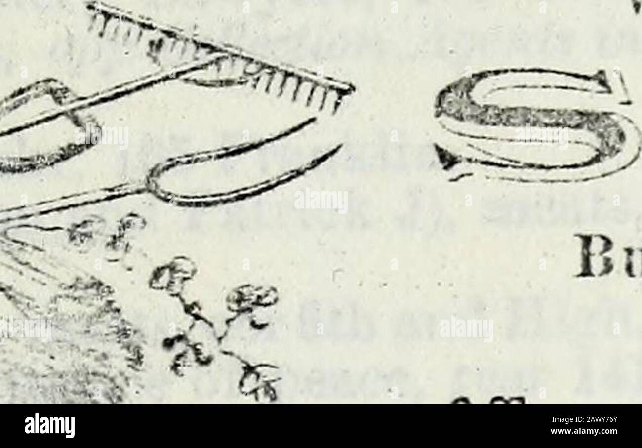 Michigan state gazetteer e directory di business . lo FcrdiiKim!, Sieirh Wood Work and Cutter Mnfr, 2^0 15tli. (SV ,rf-. Pfir/c 411.)Sellers FJias H. Avvocato. 2 Bank Blk.Sellck Eorenzo D. b.iskct mnfr. 7S13 G-l Kiver ave. Selling Bro.-&gt; Sinu (Lf^nis e Zachari:i&gt;Sellinu. Jacob U Sinn), whol crockery137 Jetr ave.SeUiir.ger Xin,o5UGi itiot aVSetit^rberg Axel, camicia mnfr. 22»i U.mdolphSoxiuerGe.rg(i J, hardware. 01^Gratiol;»^«Se.Kfon Sig.Ra Annie, Ntmiuns. 204 Mirh avoSexton Cortu lius, ooufcolionor. 214 r&gt;Ui, i PW!^ r^ ^^^MM Lj^bottiglie per birra gor, Eotllinn: Forniture r UL 10 Sw^i-h^Slllj opli Foto Stock