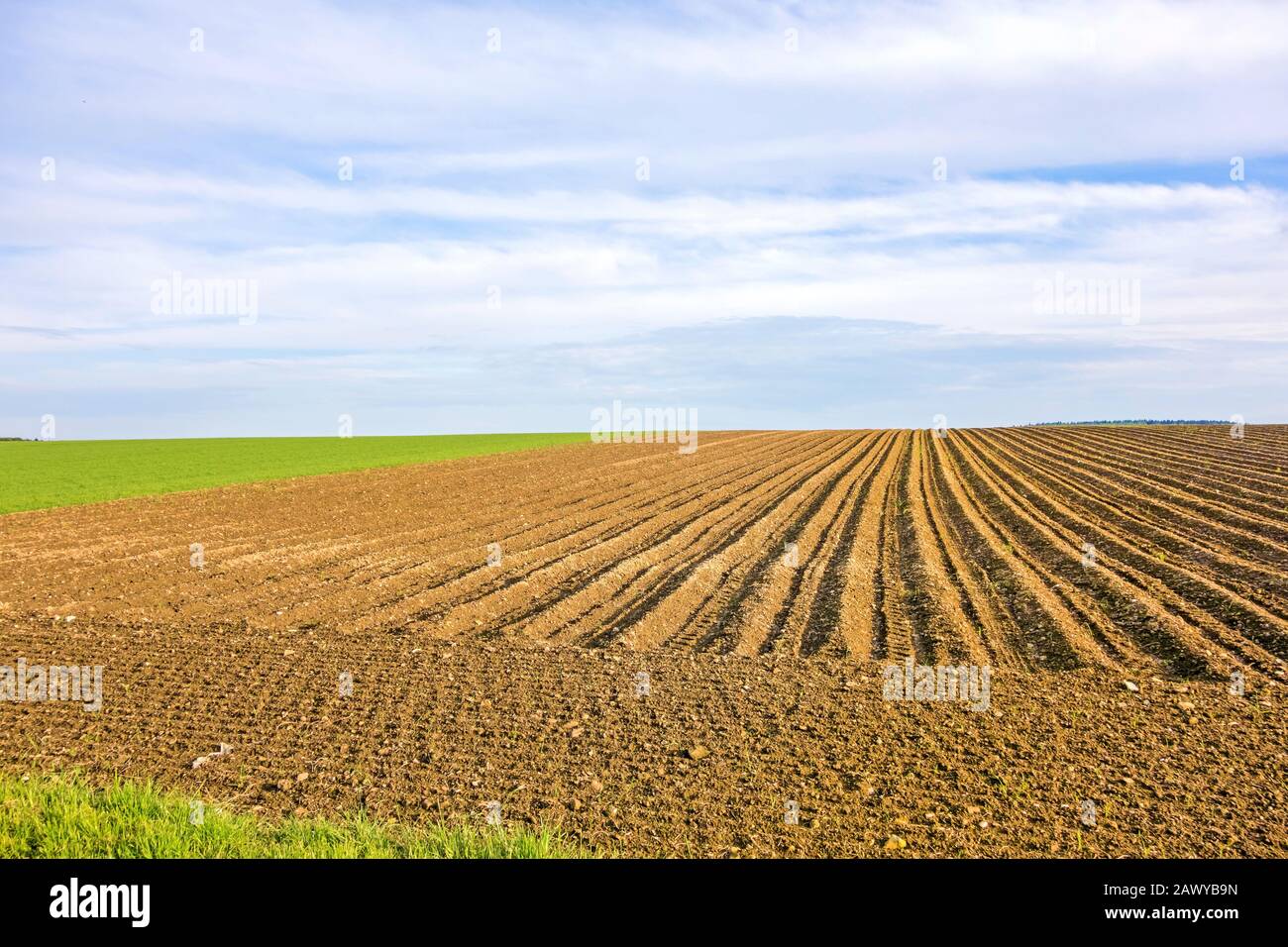 Terreni agricoli - brown field, cielo blu, il paesaggio rurale Foto Stock