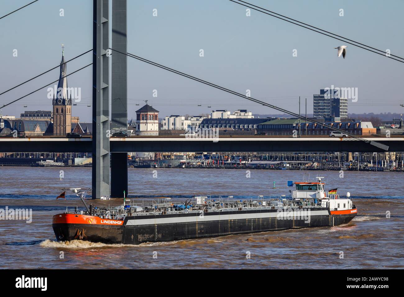 Duesseldorf, Renania Settentrionale-Vestfalia, Germania - i Freighters navigano sul Reno sotto il ponte del ginocchio del Reno durante l'alta acqua. Duesseldorf, Nordrhein-Westfalen Foto Stock