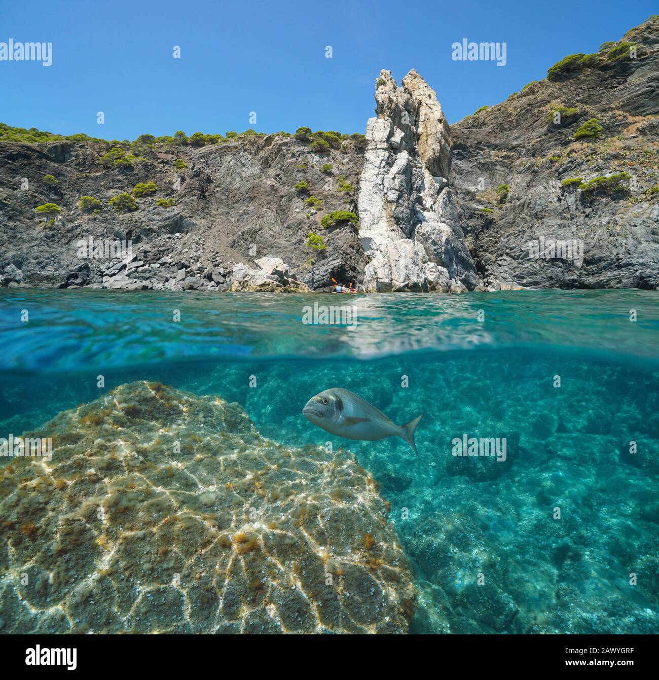 Costa rocciosa costa marina nel Mediterraneo, vista su e sotto la superficie dell'acqua, Spagna, Costa Brava, Colera, Catalogna, la Veta Blanca Foto Stock