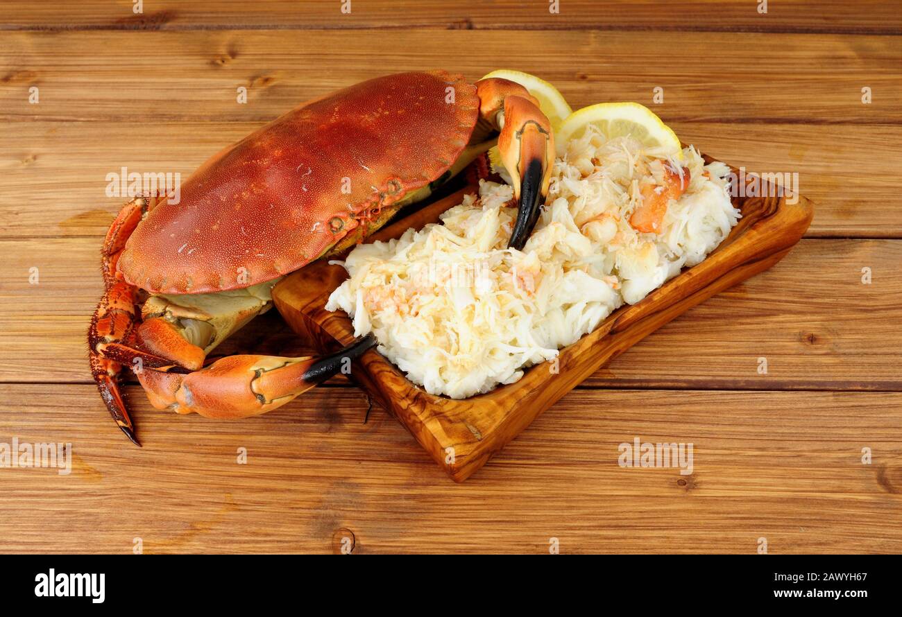 Granchio marrone fresco cotto e carne fresca in un piatto di legno su uno sfondo di legno con limone Foto Stock