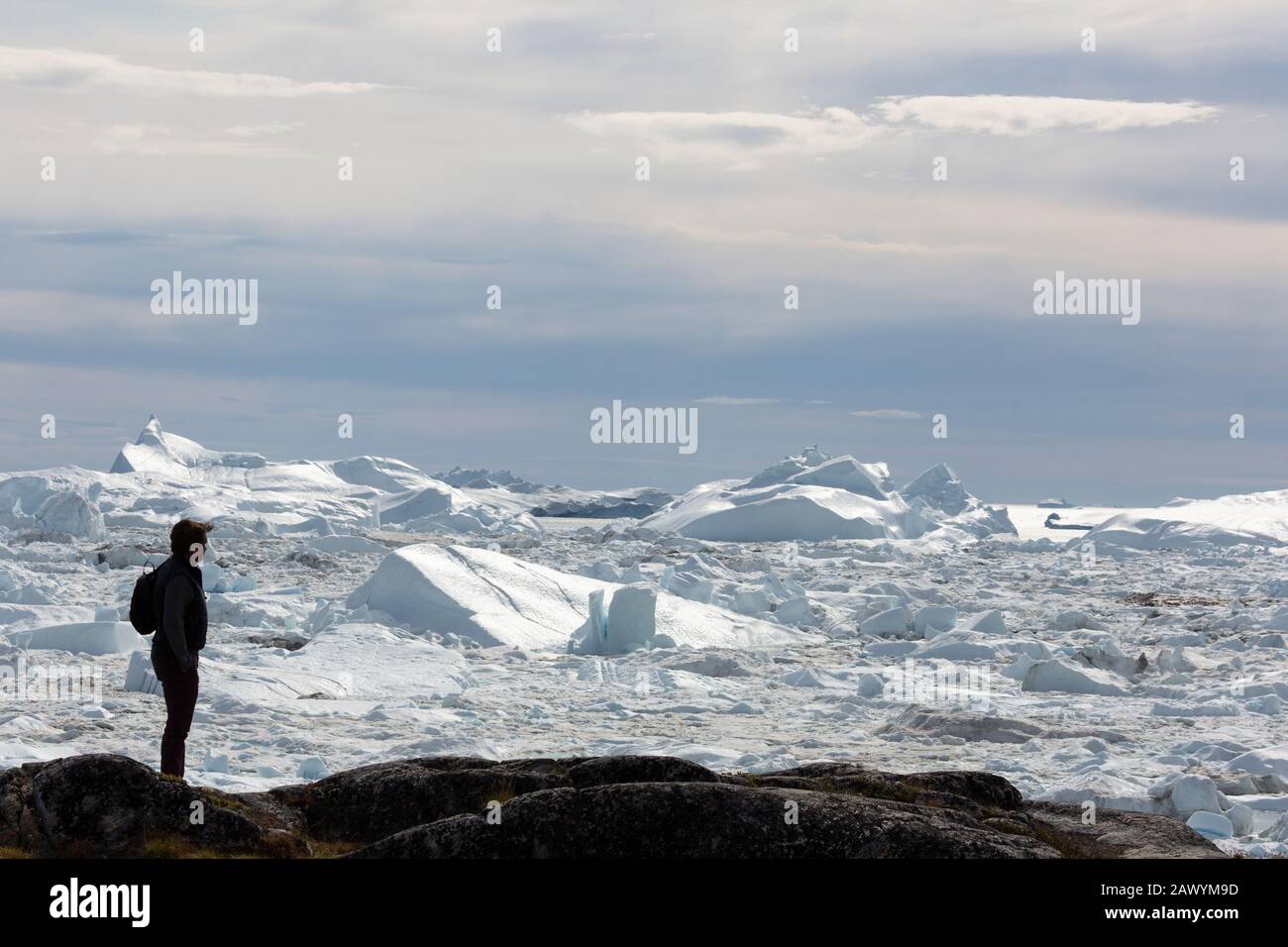 Uomo dalla silhouette che guarda il ghiaccio polare fonde la Groenlandia Foto Stock