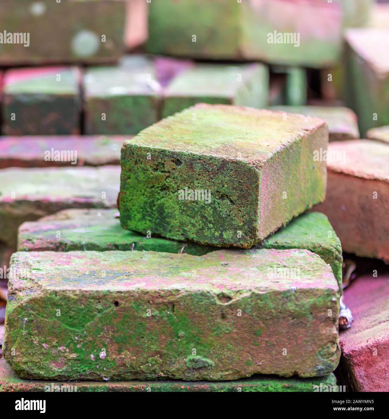 Pila di mattoni crudamente accatastati vecchi che hanno muschio verde Foto Stock