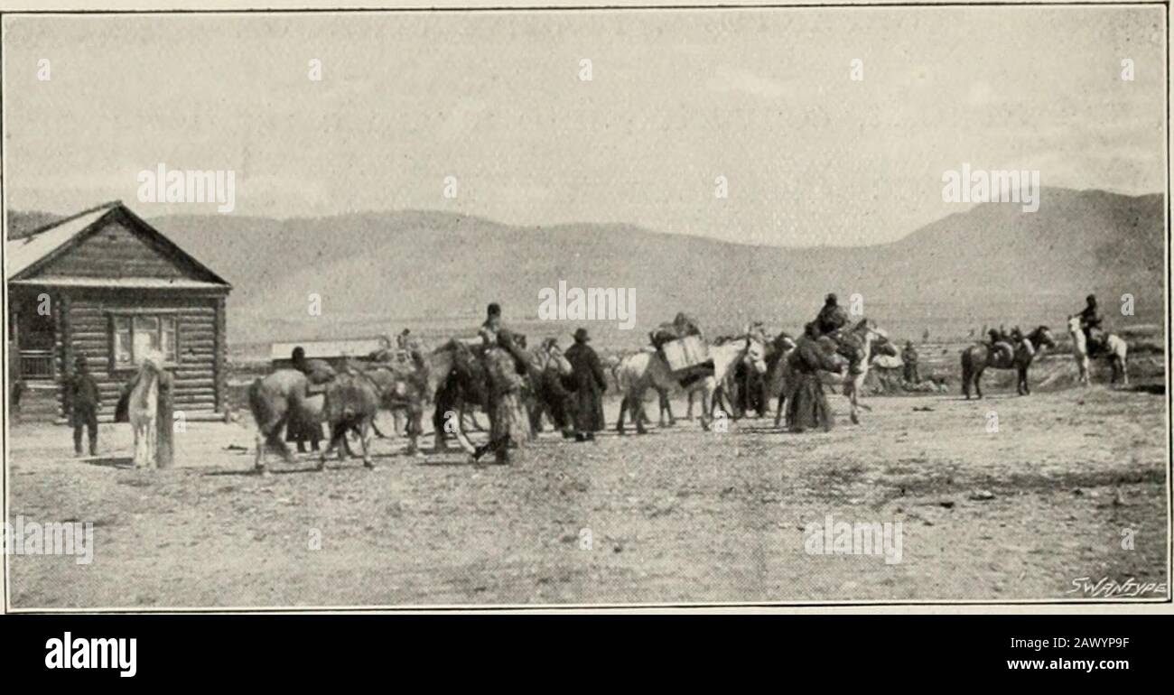 Dopo le pecore selvatiche nell'Altai e in Mongolia; . su, e una biblioteca ben fornita, chieflycontaining opere sull'Altai, da Tchichatcheff, il viaggiatore russo, Bunge e Ledebour, i botanici ben noti, con splendide lastre delle piante differenti del distretto. Mi ha colpito anche l'interesse attivo che le autorità di Barnaoul assumono per il benessere e l'istruzione della popolazione comune, aninteresse che mi sembrava essere molto al di sopra della media rispetto a quello della Russia europea. Per esempio, c'è una sala speciale, Con un giardino PARTENZA DA BARNAOUL 35 attaccato ad esso, convertito Foto Stock